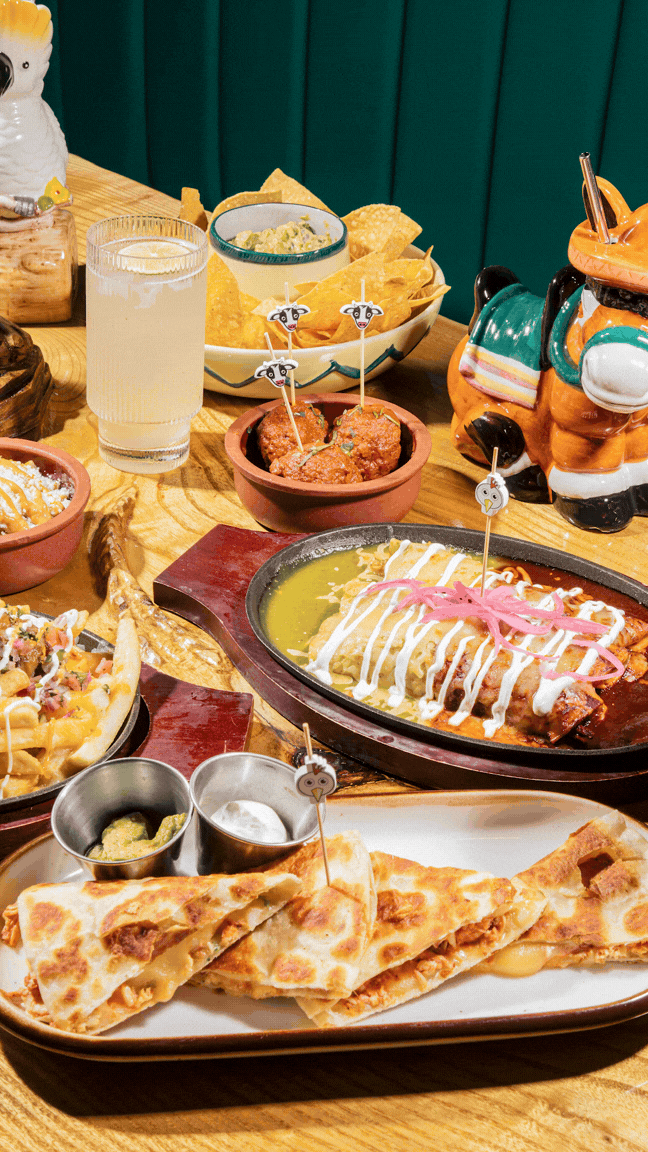 Untitled design copy 16.gif