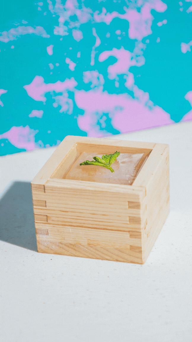 Untitled design copy 5.gif