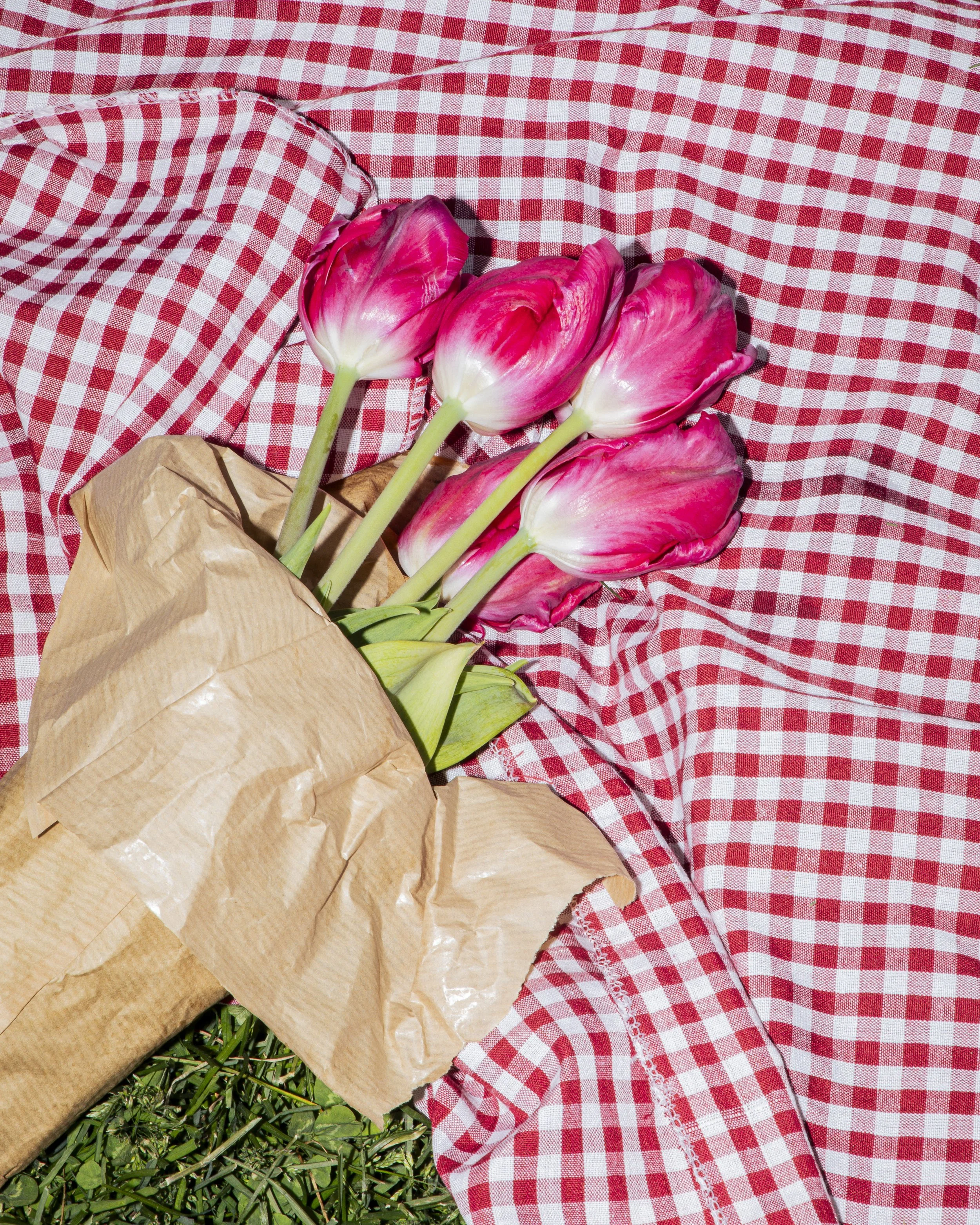 picnic-3.jpg