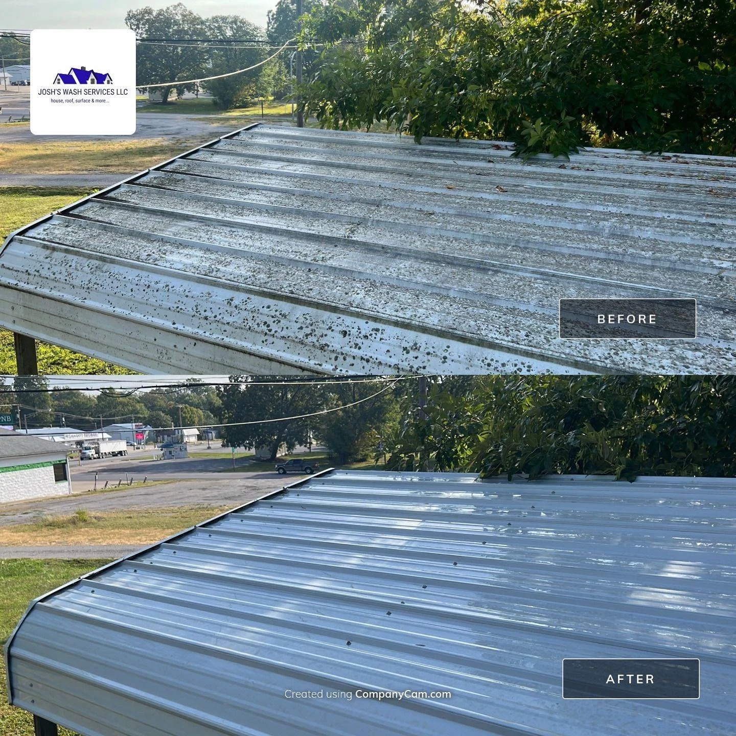 roof.jpg