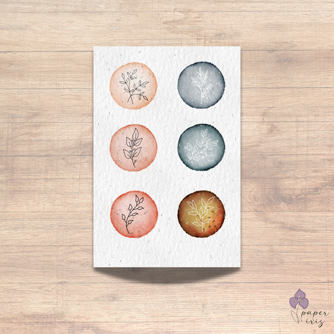 Terra Cotta - Web 1.png