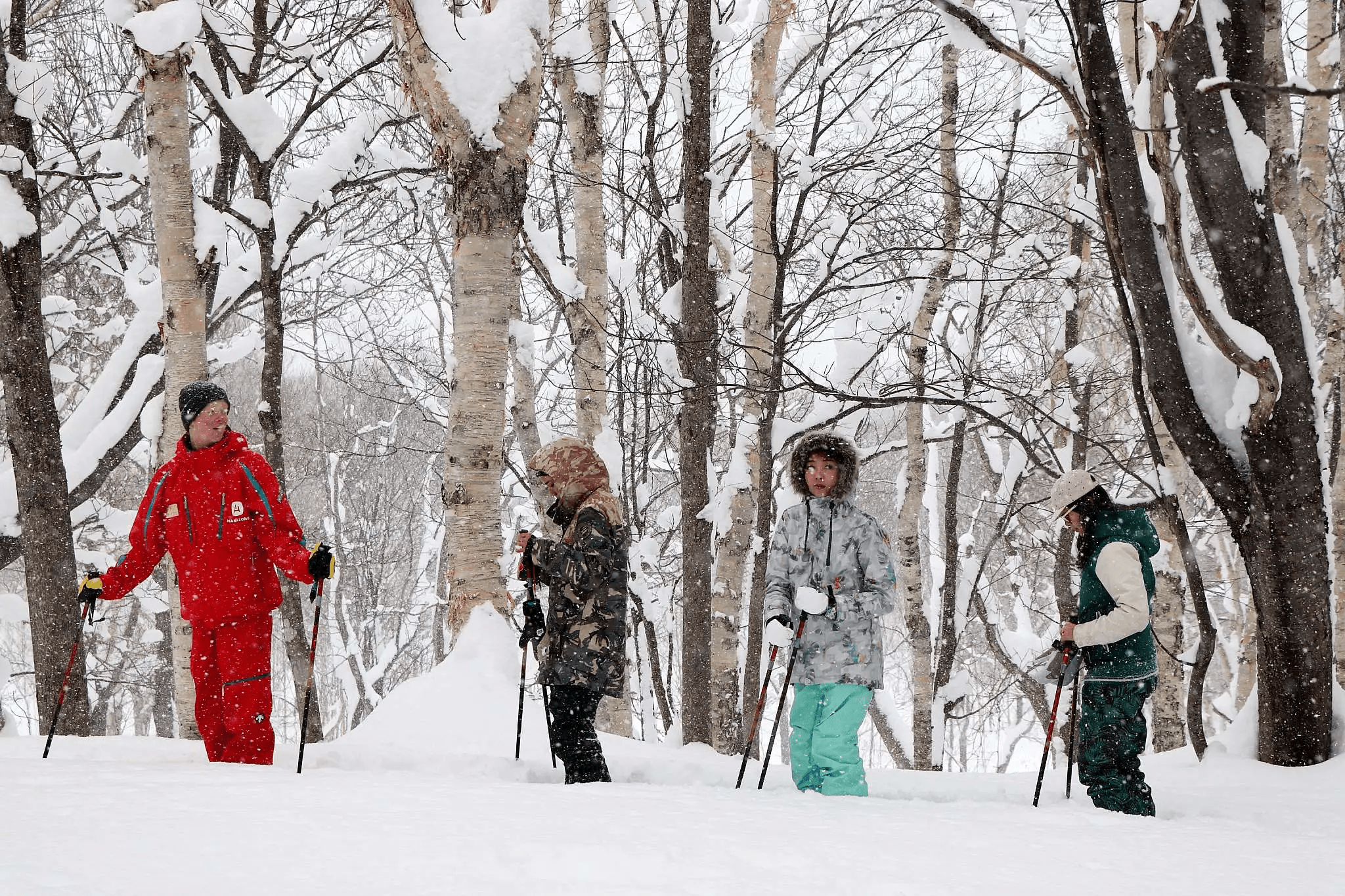 Snowshoeing - Winter Activity - Niseko