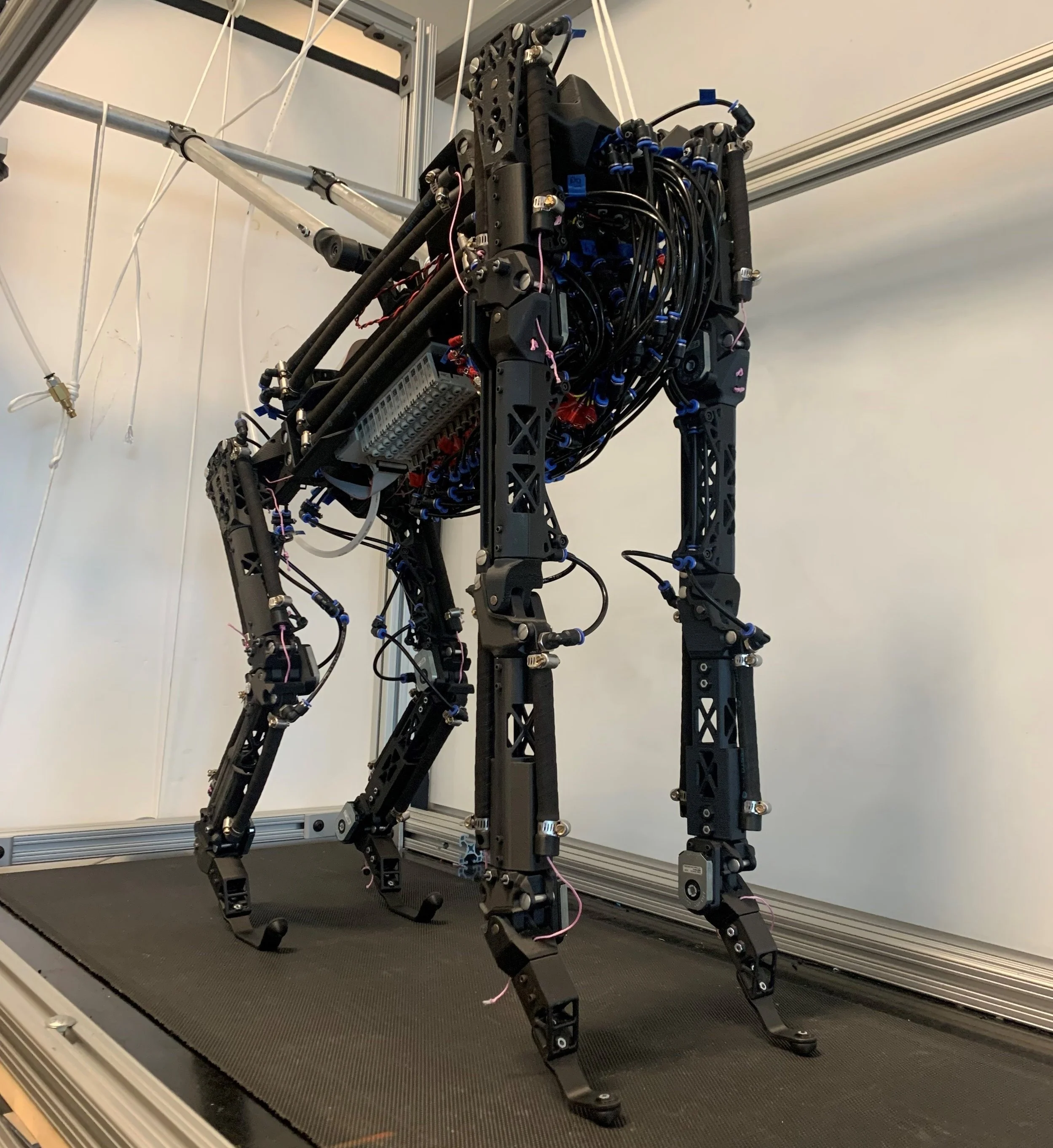 AARL Biomimetic Quadruped Robot