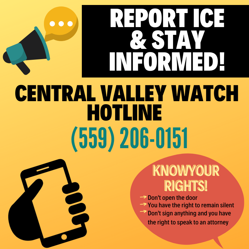Report Ice Sightings!