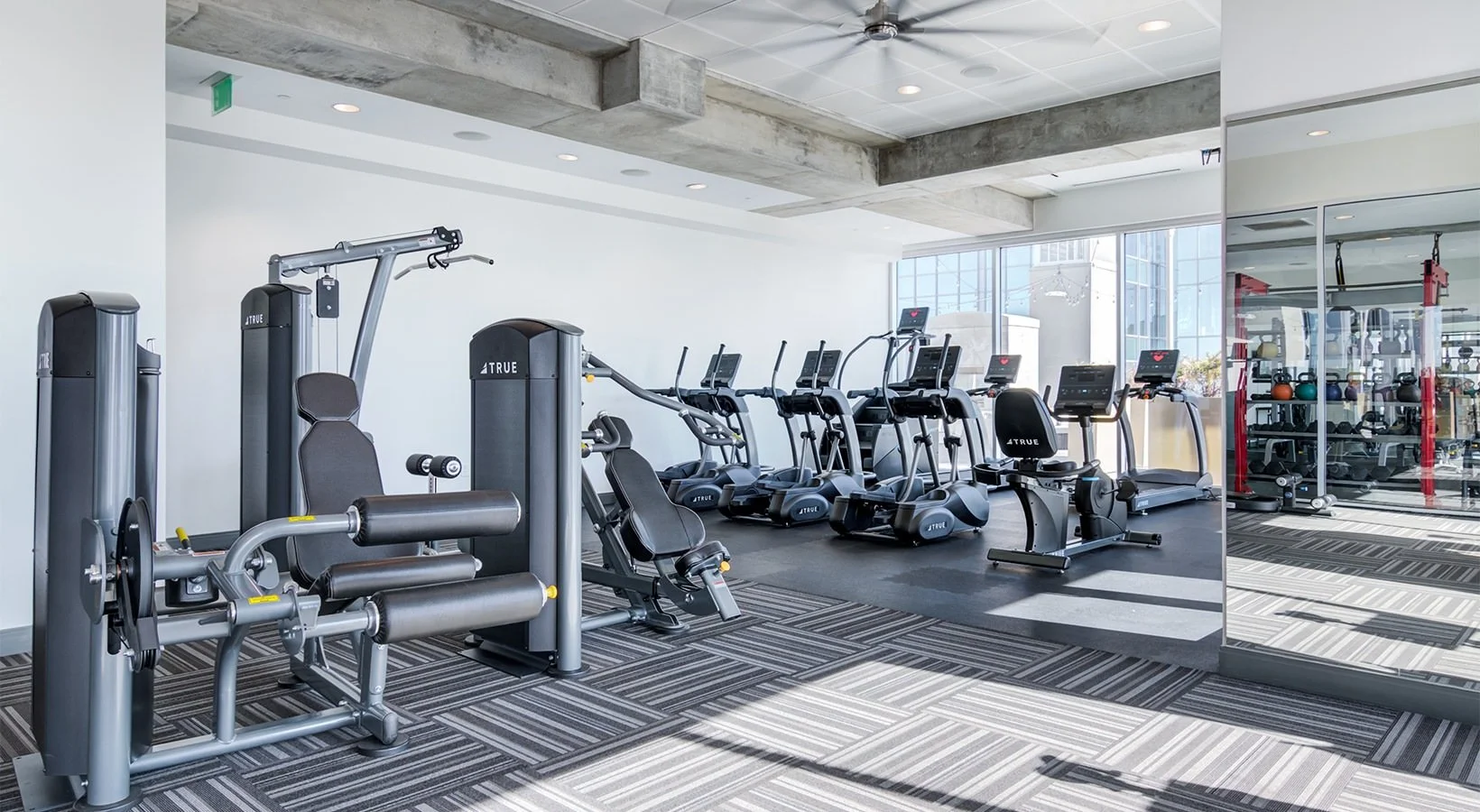 Modern gym with various exercise equipment including weight machines, treadmills, ellipticals, and a mirrored wall, with large windows allowing natural light.