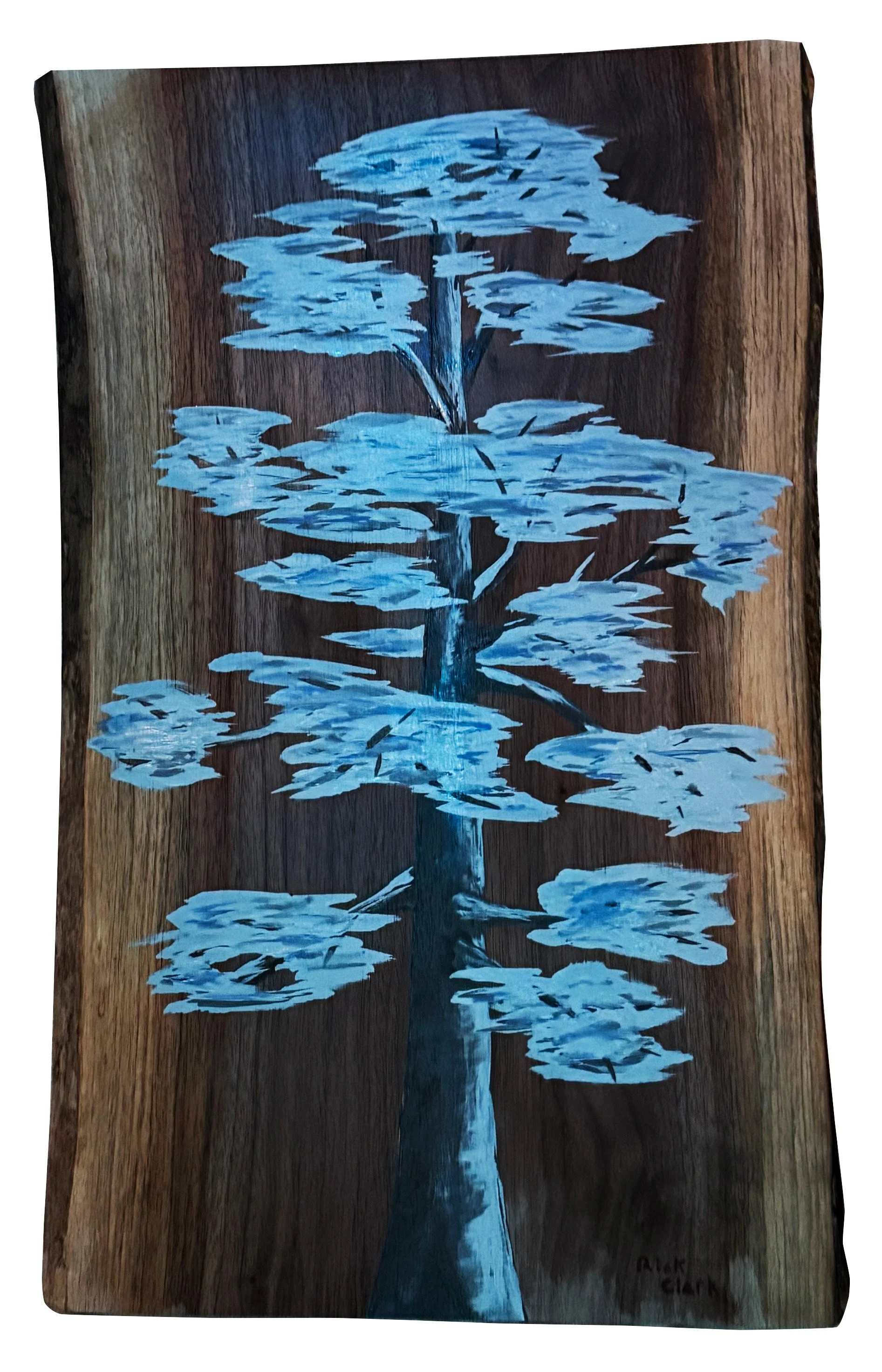  Quiet Solitude  
 
$175