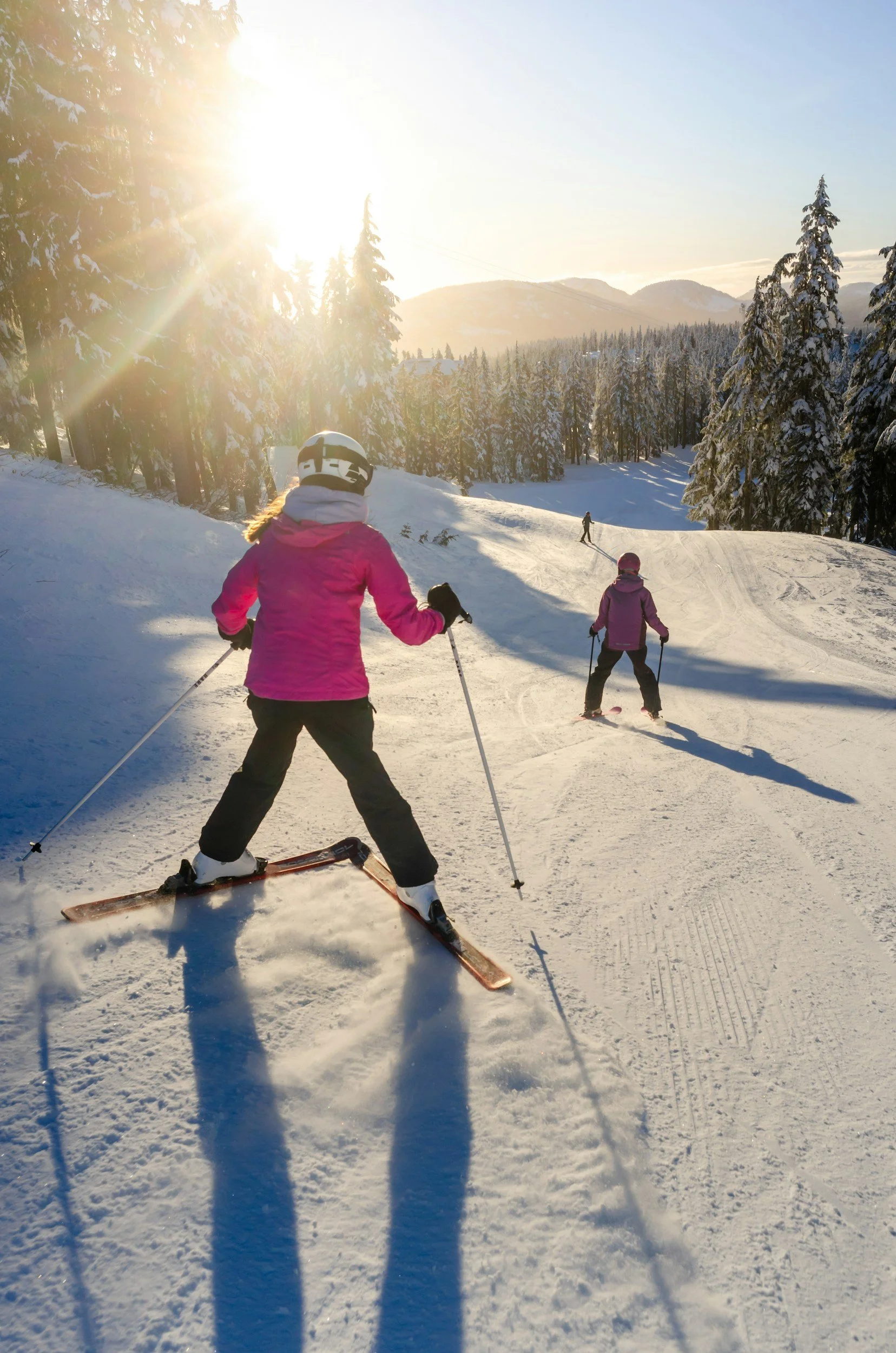 People skiing on a snowy trail under a bright sun with a mountain and pine trees in the background.