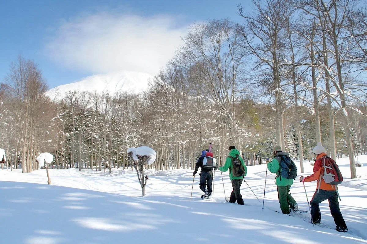 Four hikers in winter gear walking through a snow-covered landscape with trees and a distant mountain, under a blue sky with some clouds.