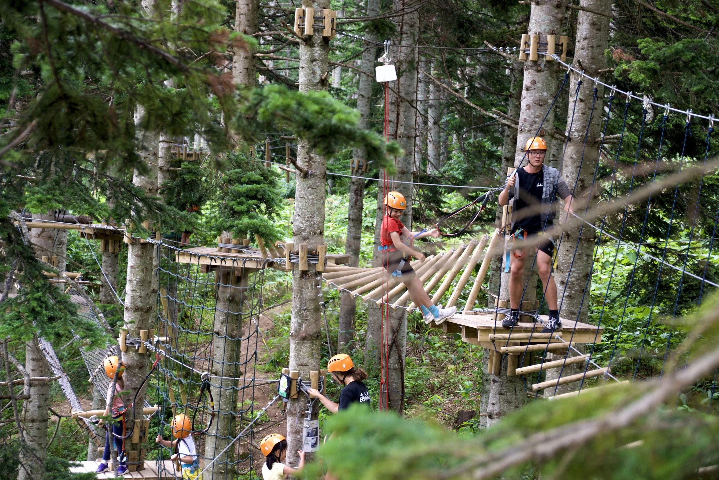 Children and adults wearing helmets walking on a suspension bridge through a forested area, participating in a high ropes course with safety harnesses and ropes.
