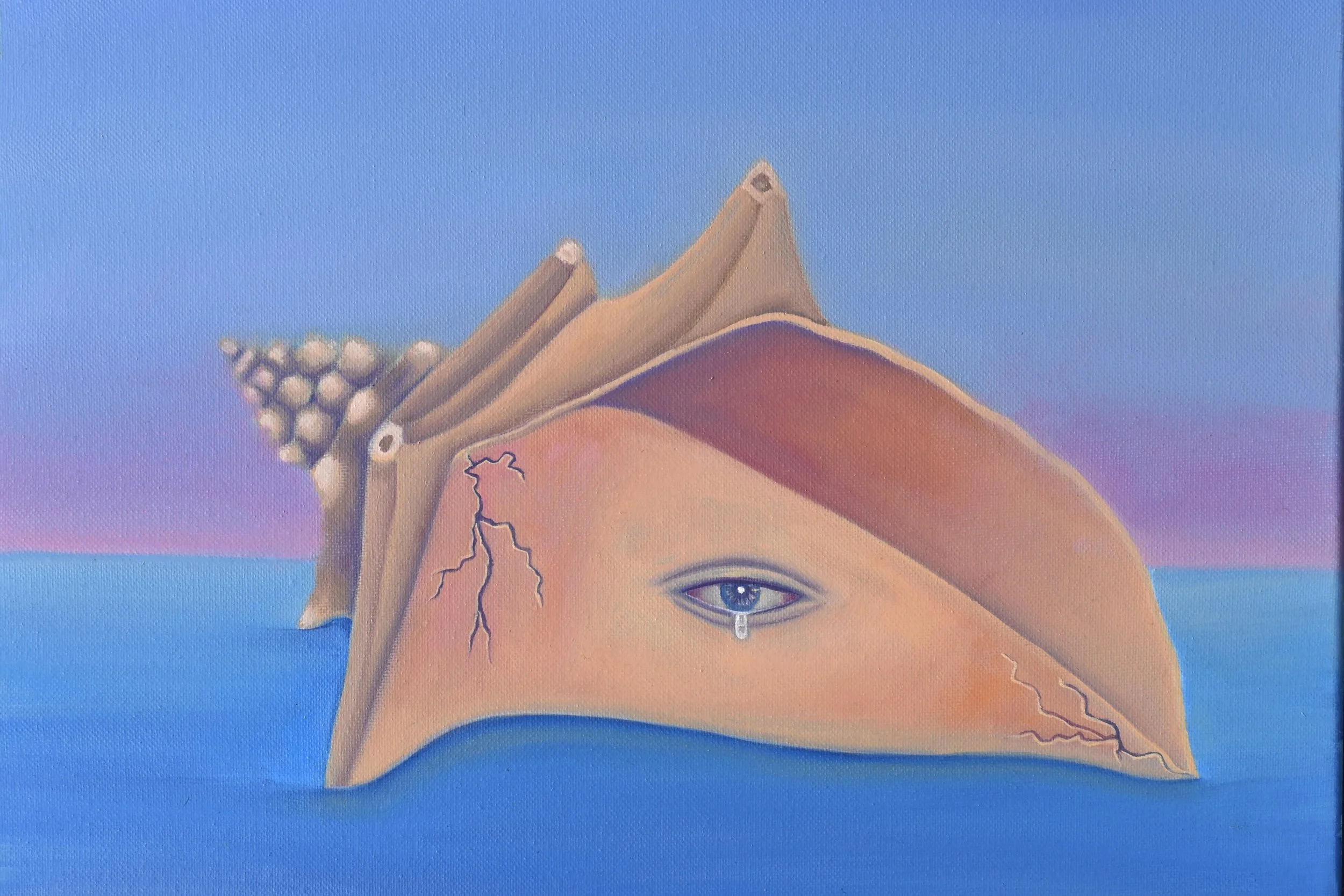 If I Were A Seashell (2026)