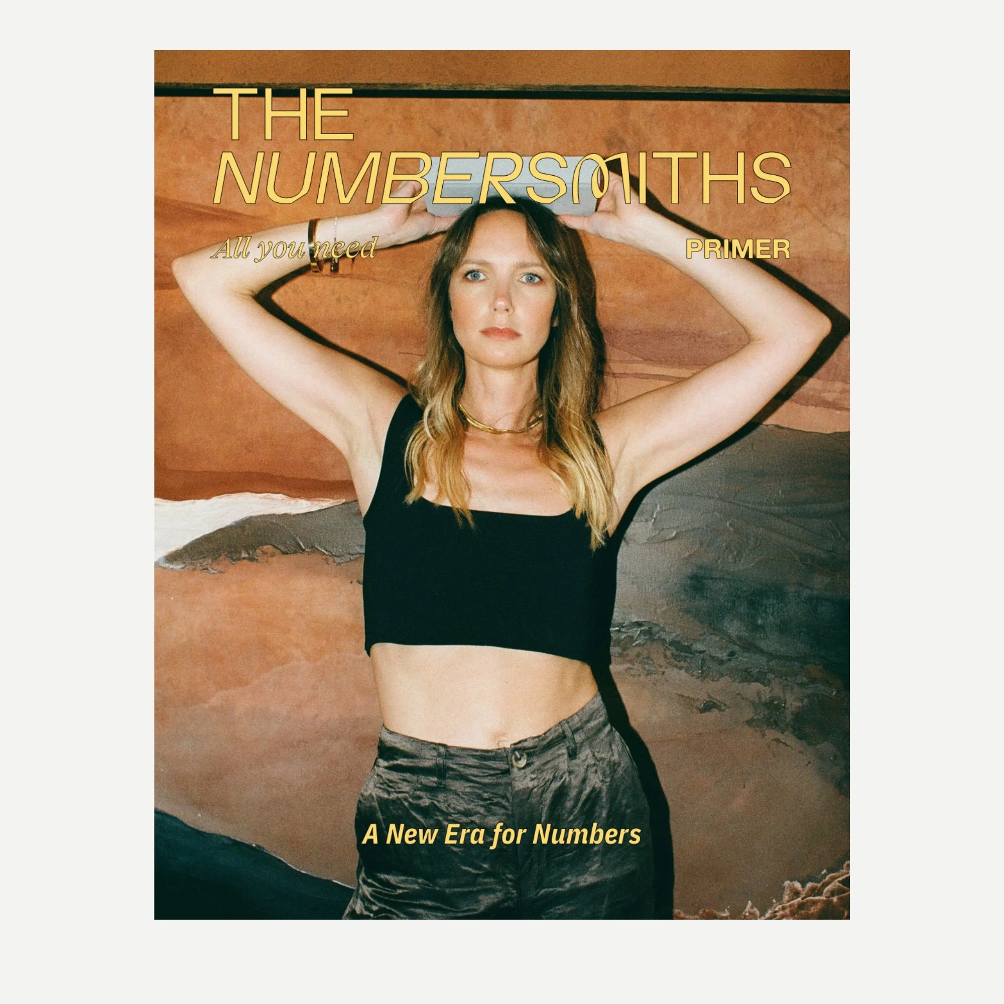 A New Era For Numbers - PRIMER Textbook - Digital