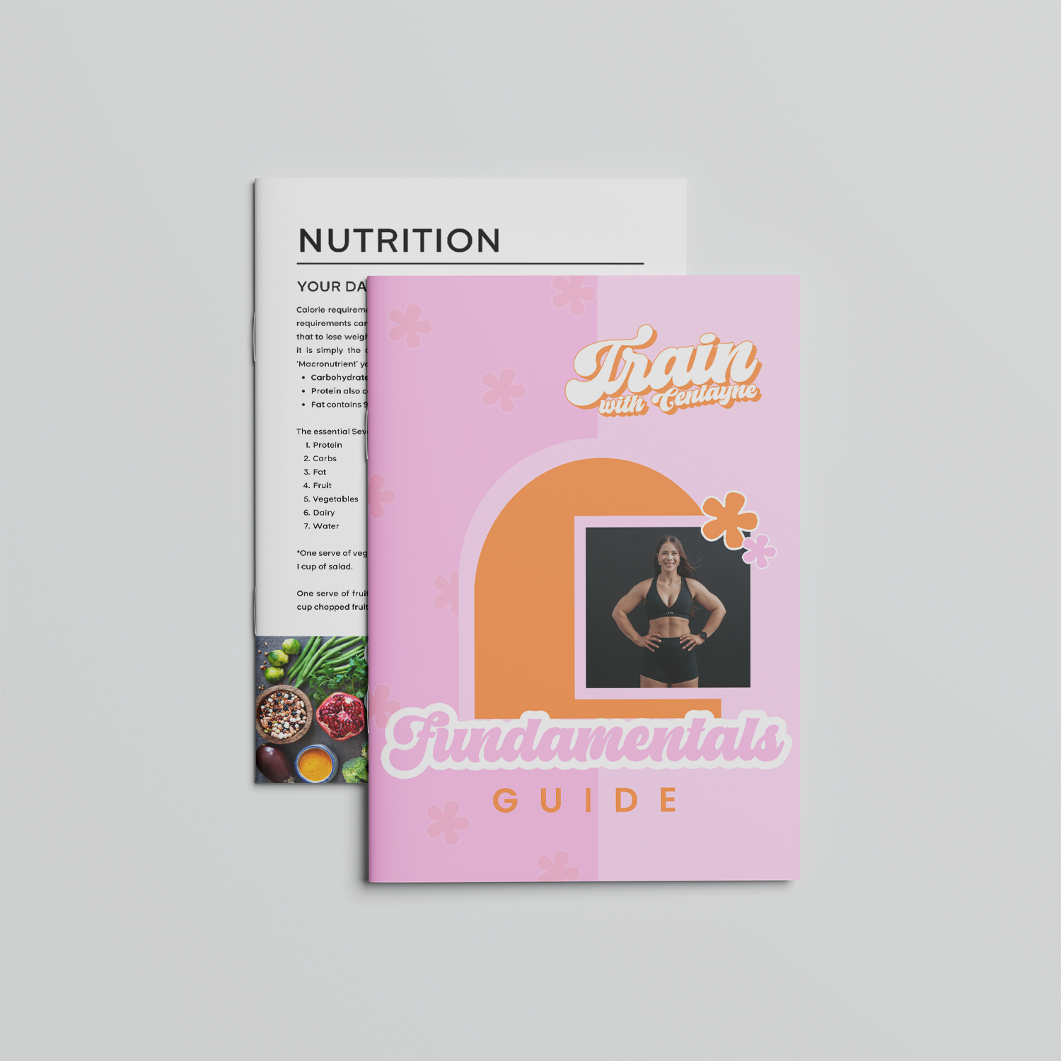 Fundamental's Guide.png
