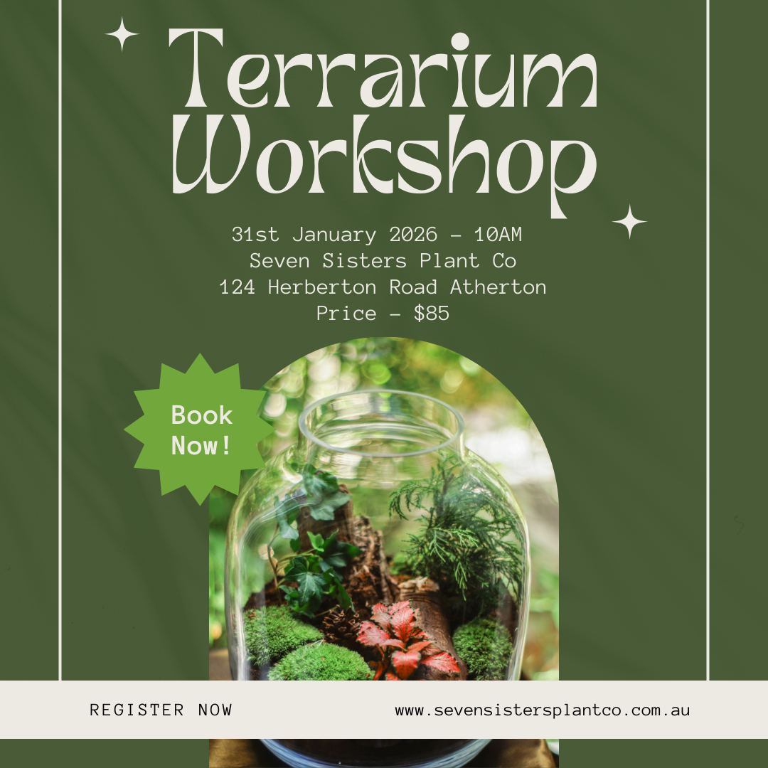 Terrarium Workshop 31/01/26