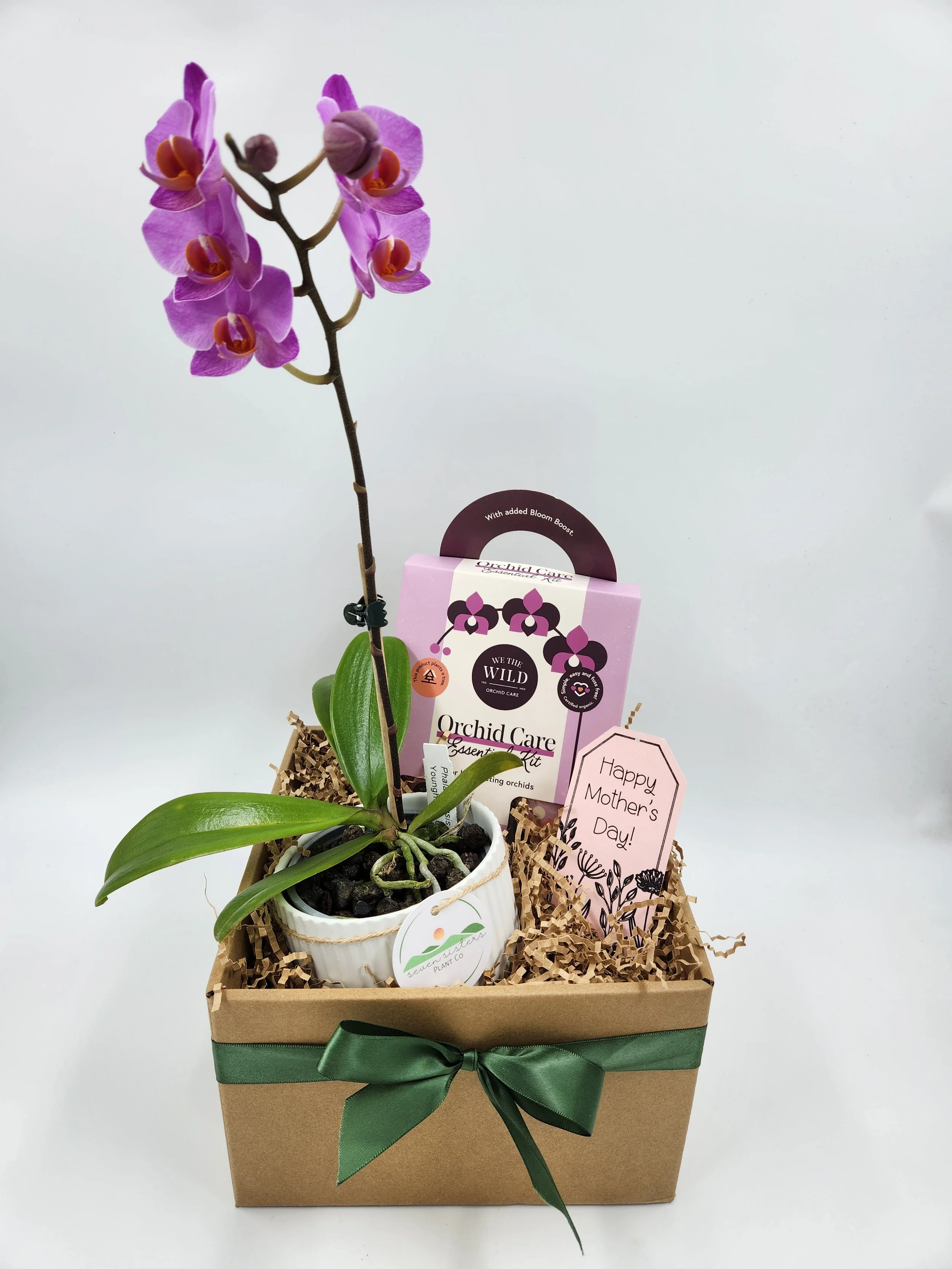 Orchid Lovers Hamper