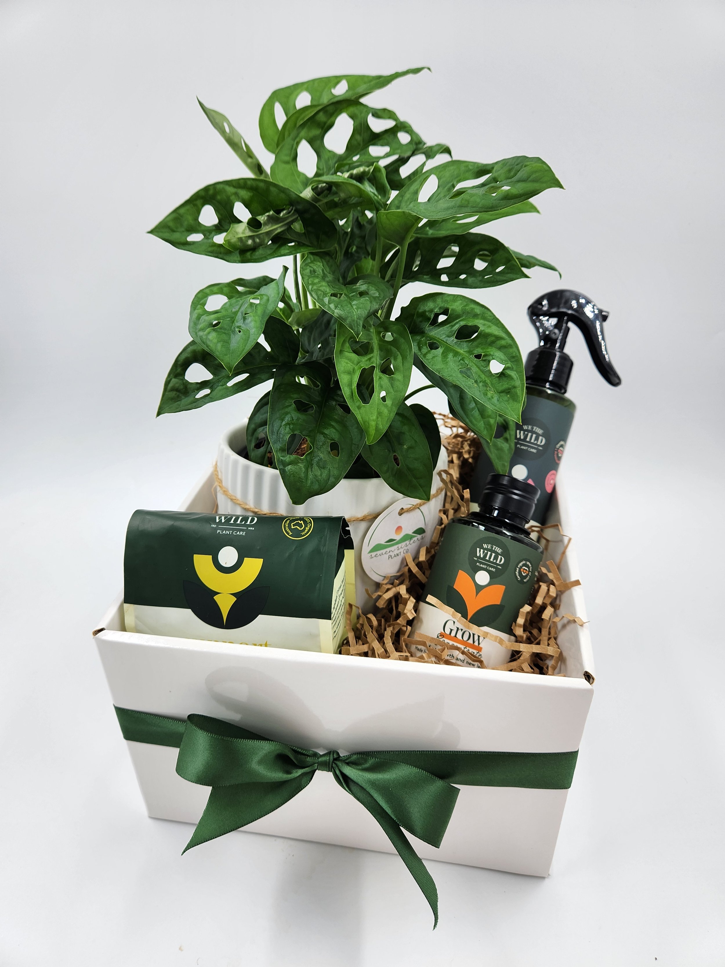 Plant Care Gift Hamper