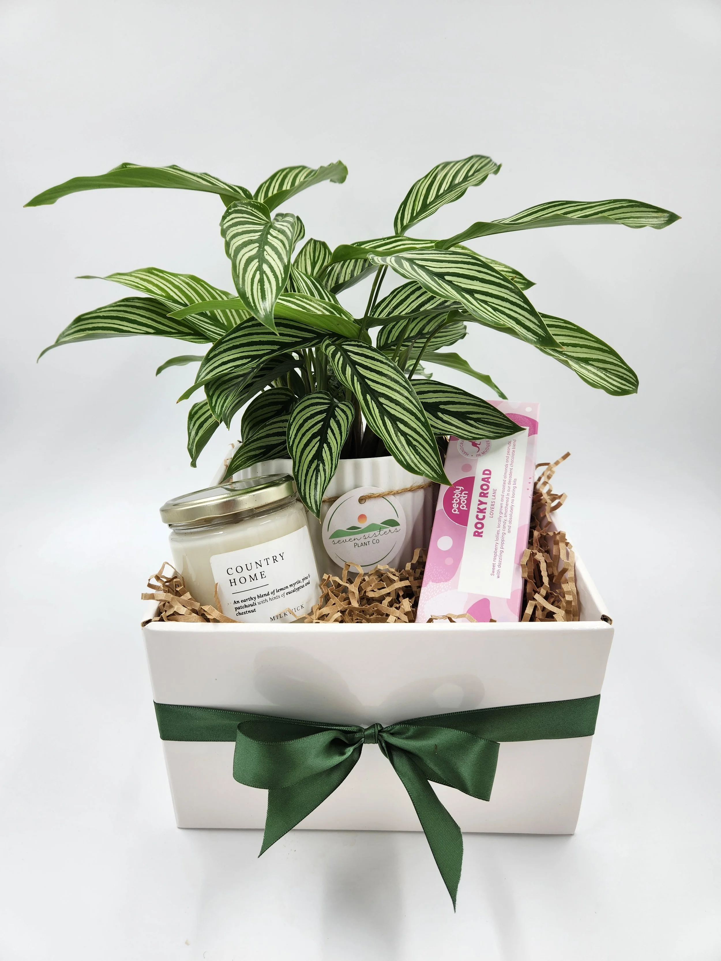 Plant, Candle & Chocolate Gift Hamper
