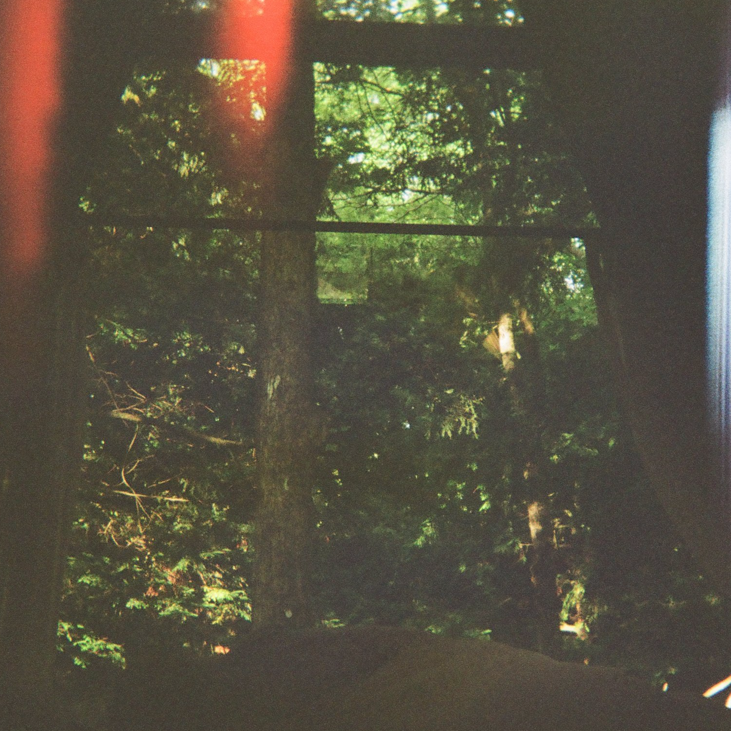 IMG_6931.png