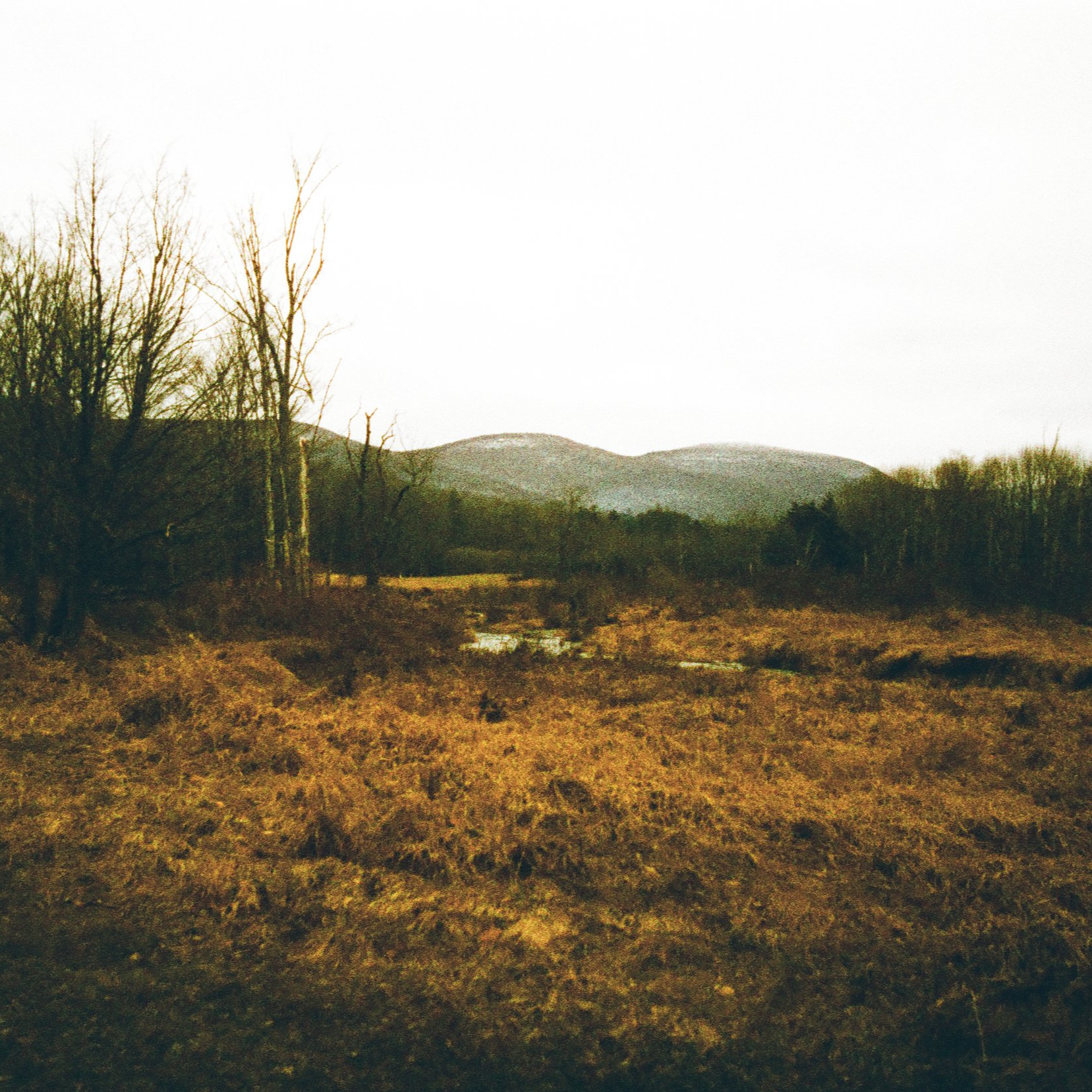 IMG_2490.png