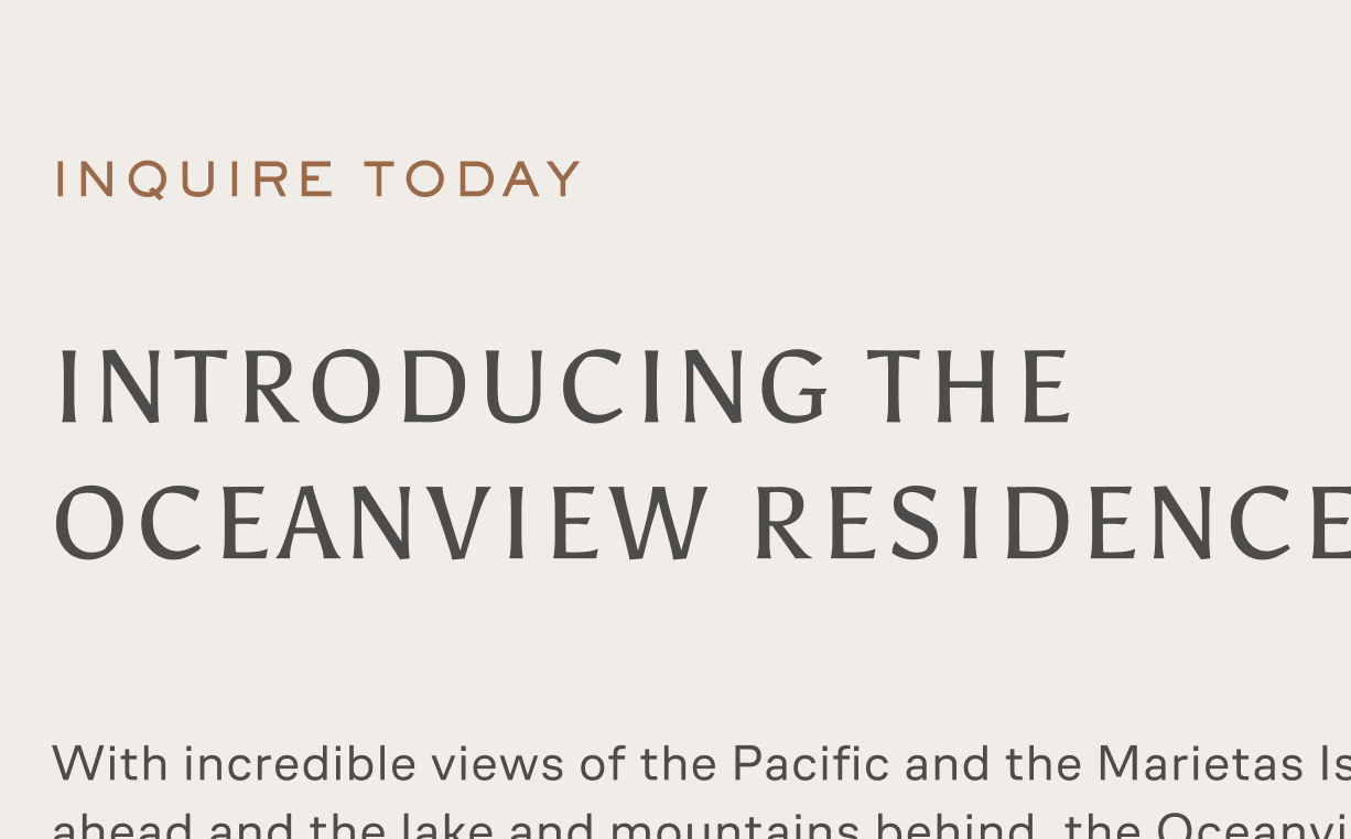 Hero type is bold yet crafted, commanding luxury gravitas without getting all suit-and-tie about it. Accent type is modern and legible. We're approachable, but elevated.