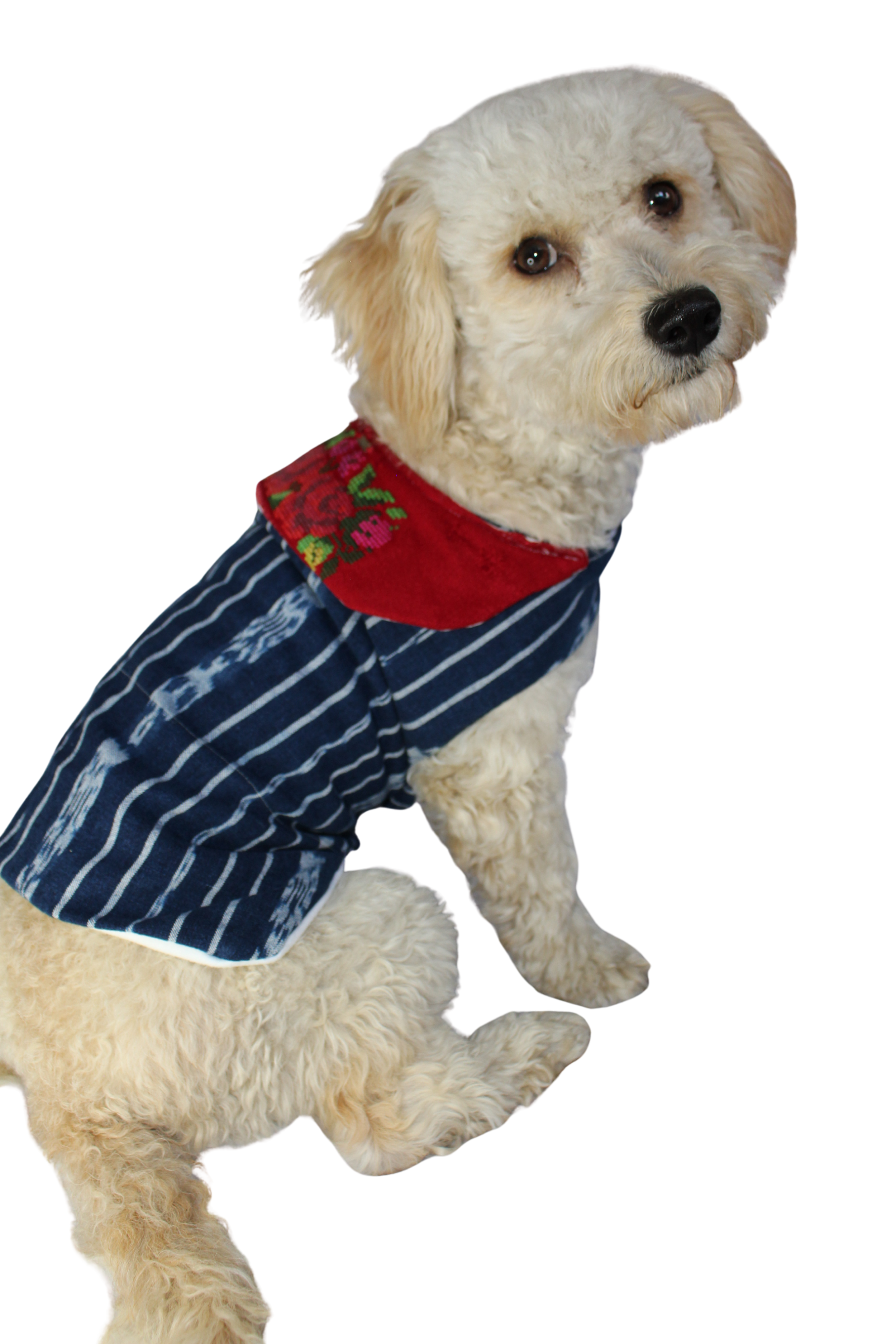 Doggy sweater with flap