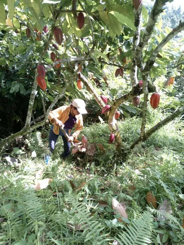 b79ae4e594a4cfd9557da323bf0af7a6.jpeg