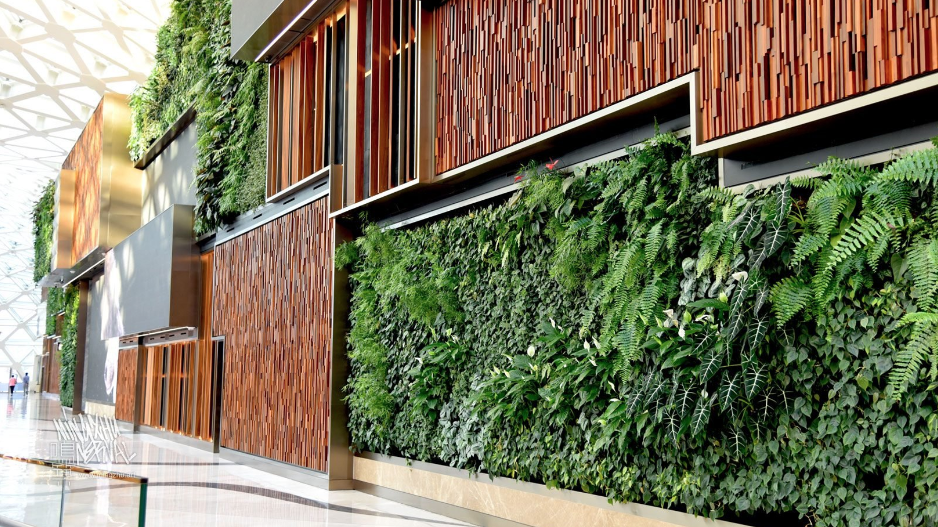 'Nature's Art' Superscale Living Wall for MGM Macau
