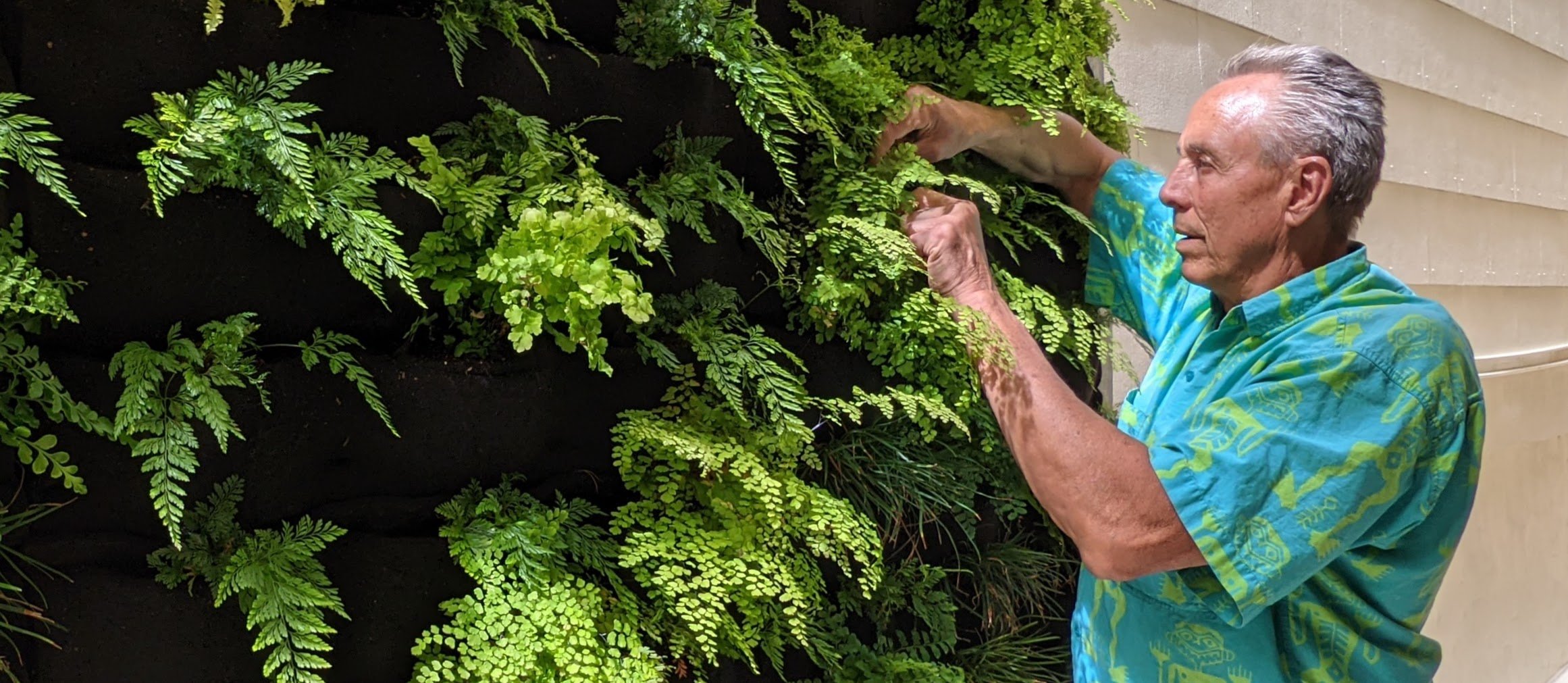 Florafelt Designer: Davis Dalbok, Living Green Design