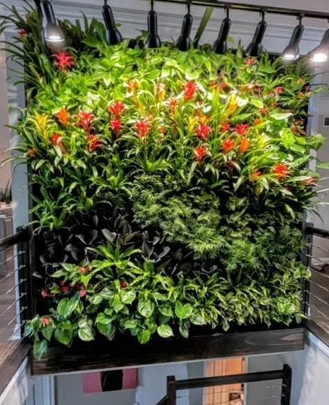 Green Street Design Builds a Tropical Paradise