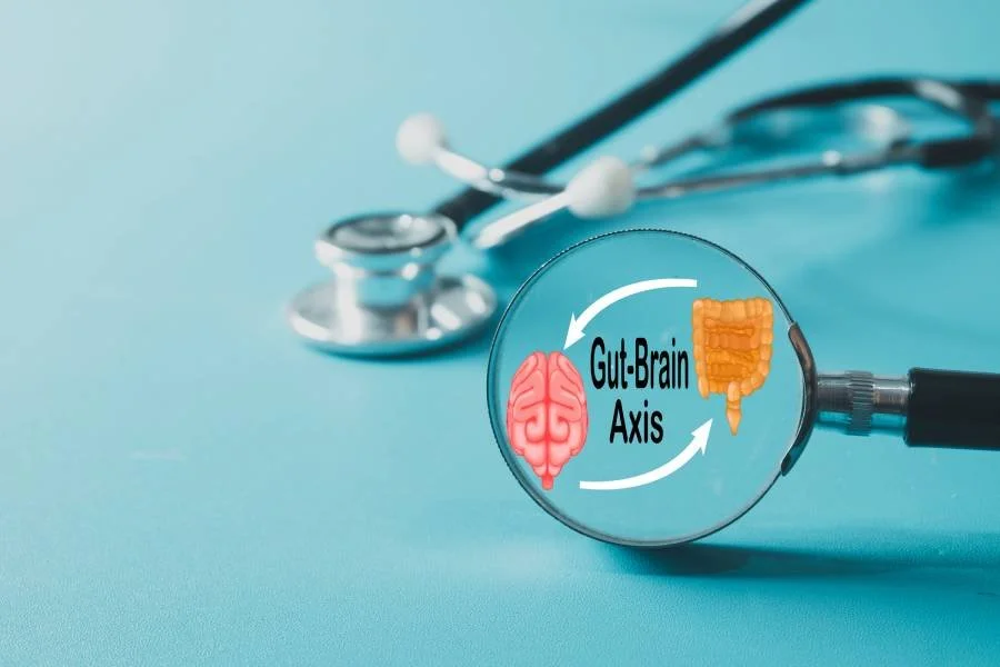 The Gut-Brain Connection: How Digestive Health Affects Your Mood