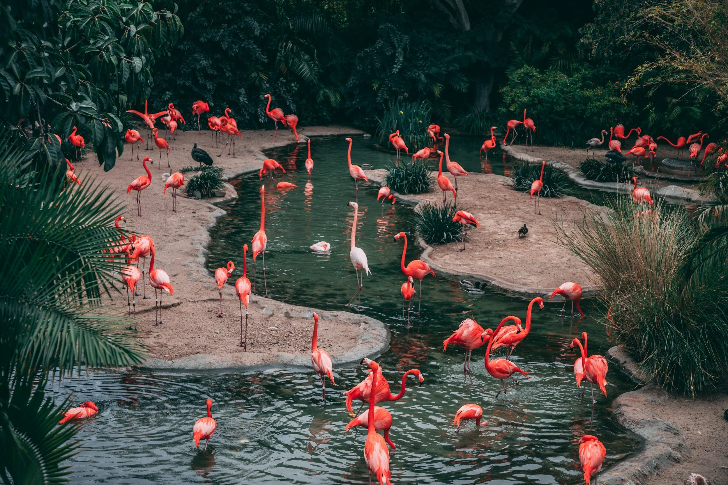 Making Biodiversity Data Work Together