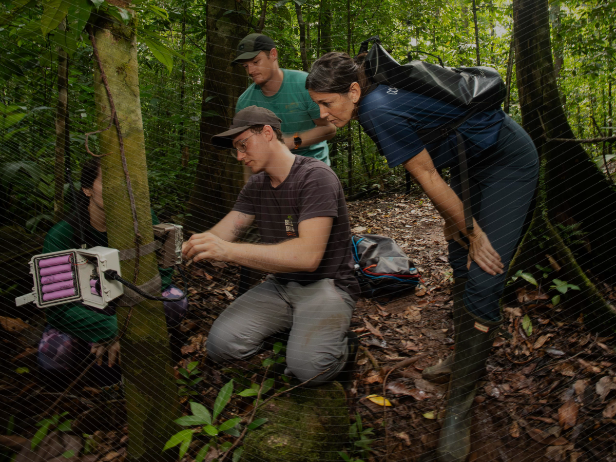 2025 Community Impact Report: Building Infrastructure for Nature Tech