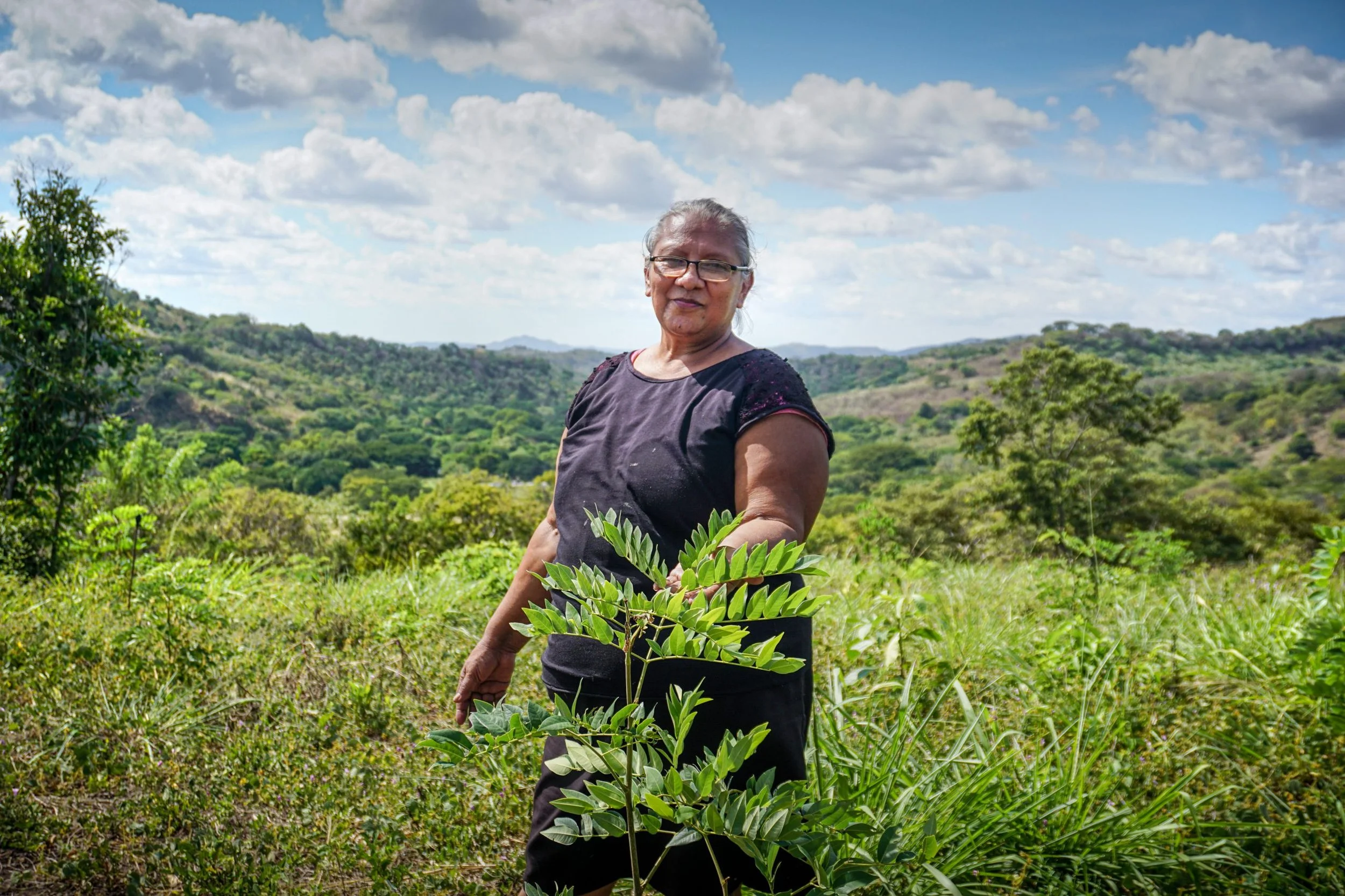 How Taking Root is scaling reforestation by treating it as an operations problem, not a planting one
