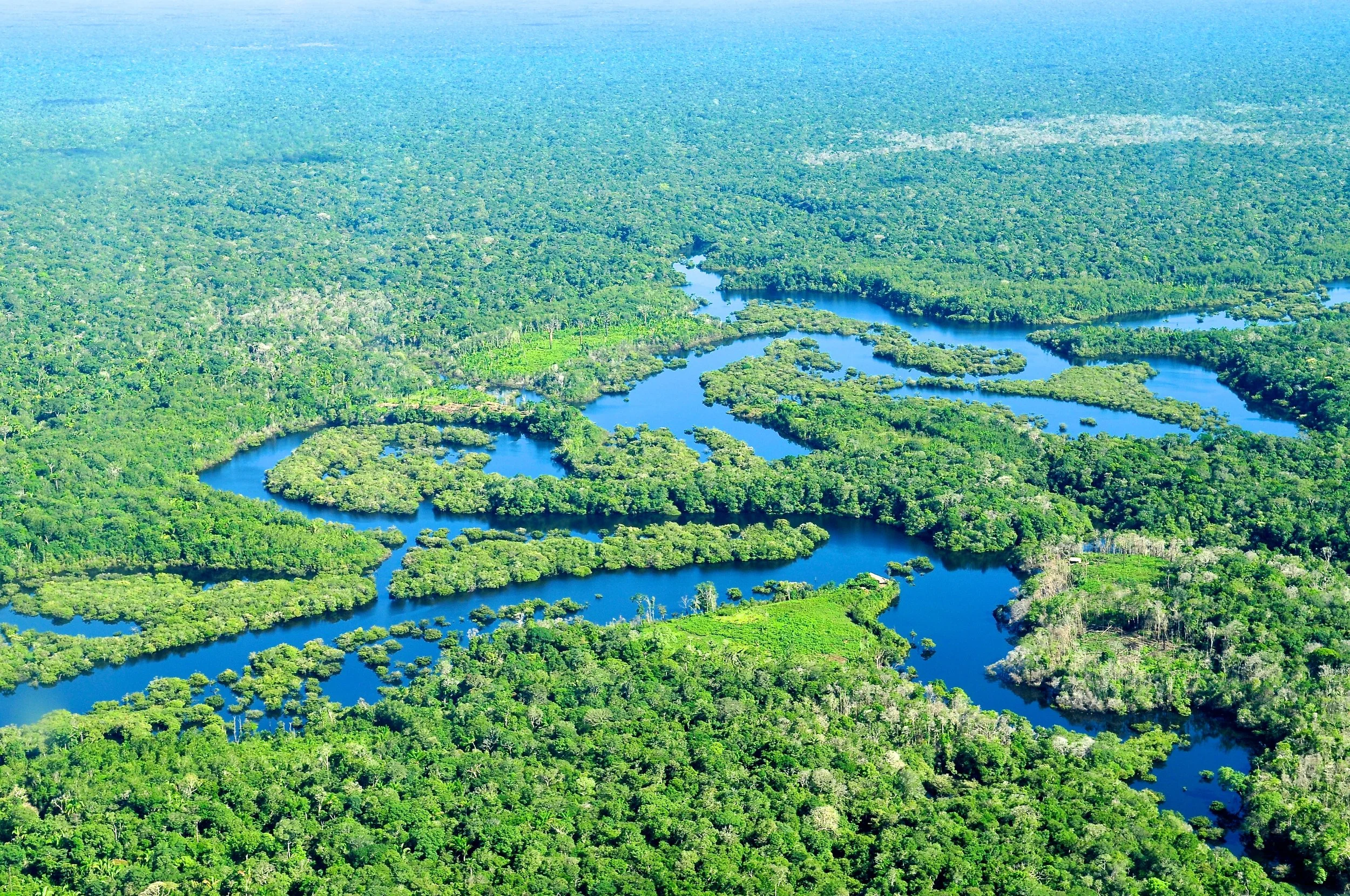 Technology and Trust: How Innovation Is Rebuilding the Integrity of Amazon Carbon Markets