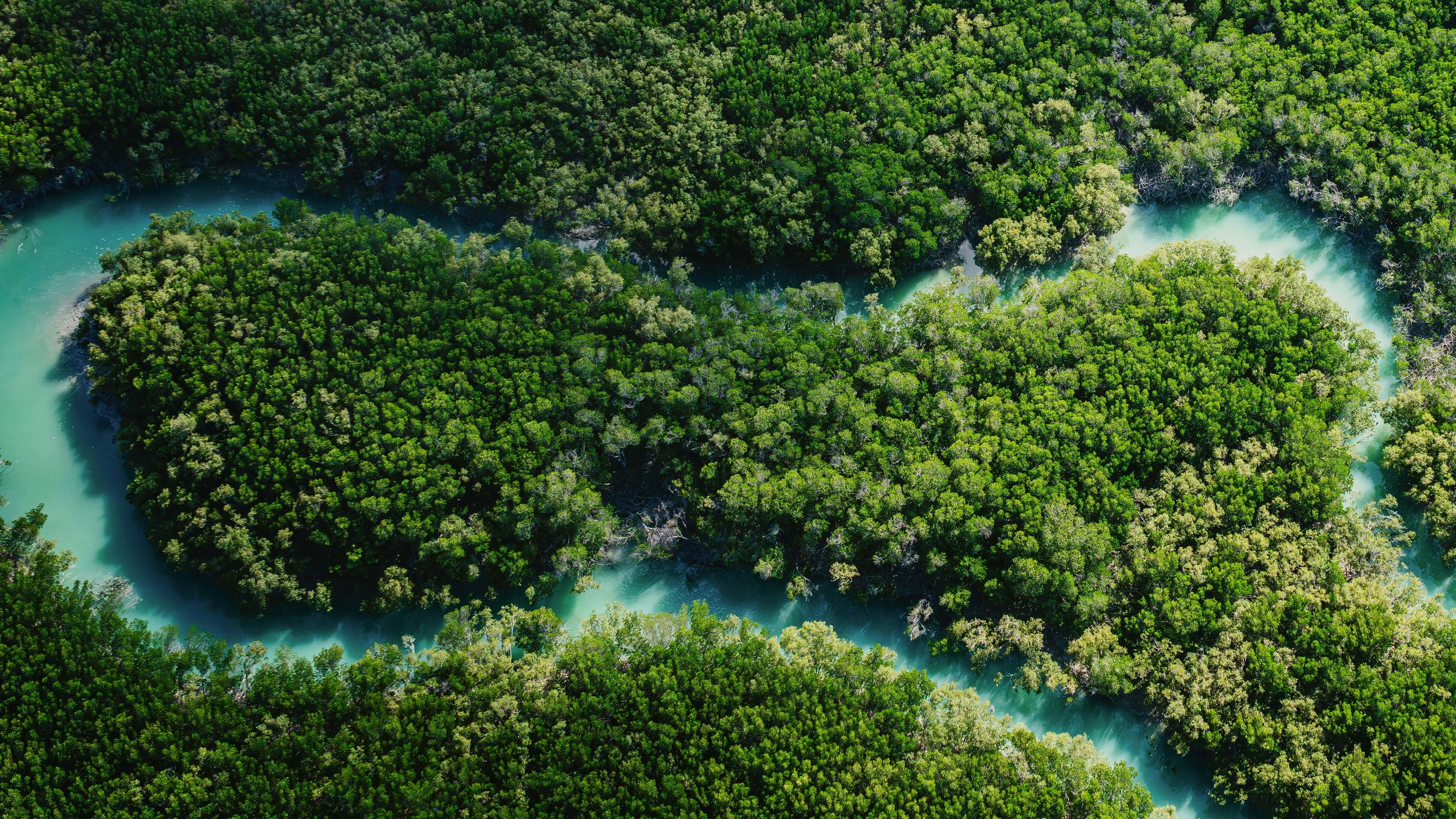 Mapping the Natural Capital Technology Landscape