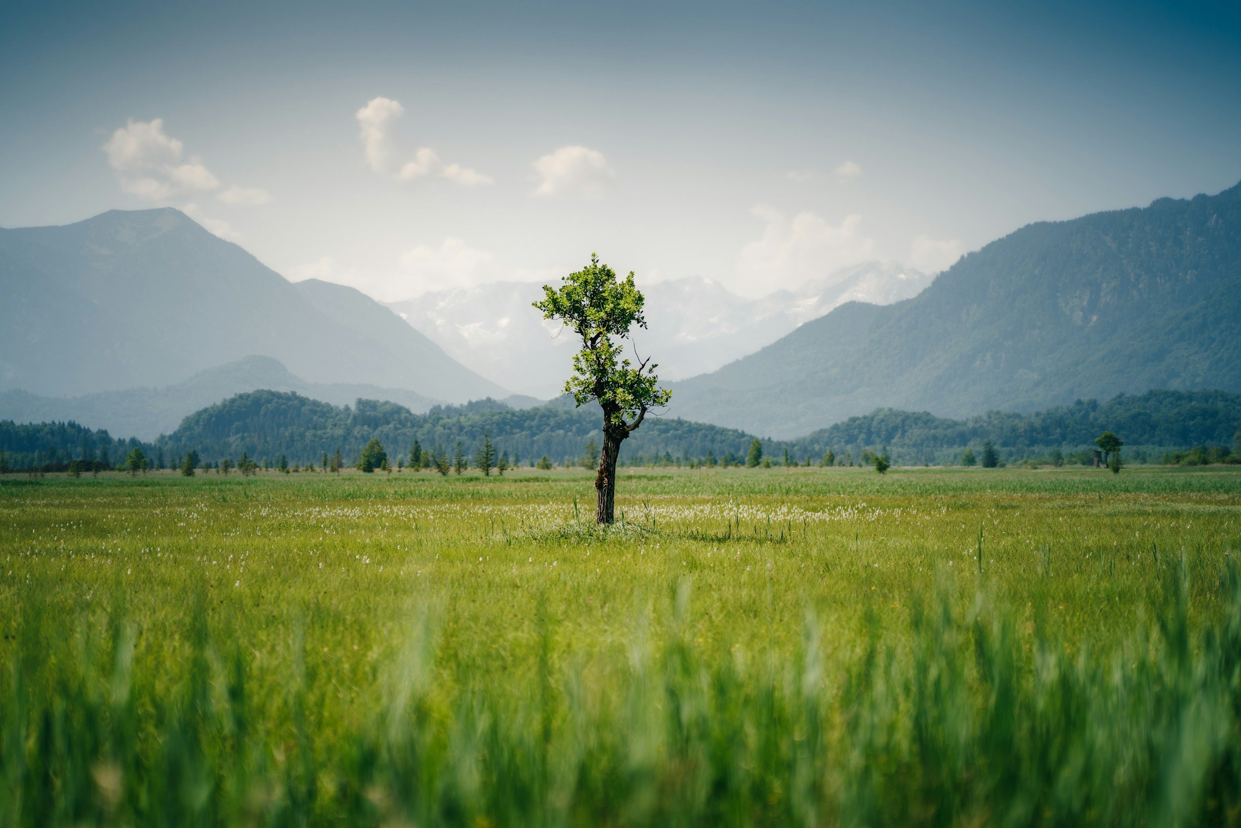  The Nature Data Gap: How Echo Labs Is Building an "Ecosystem Fingerprint" to Make Ecological Condition Predictable