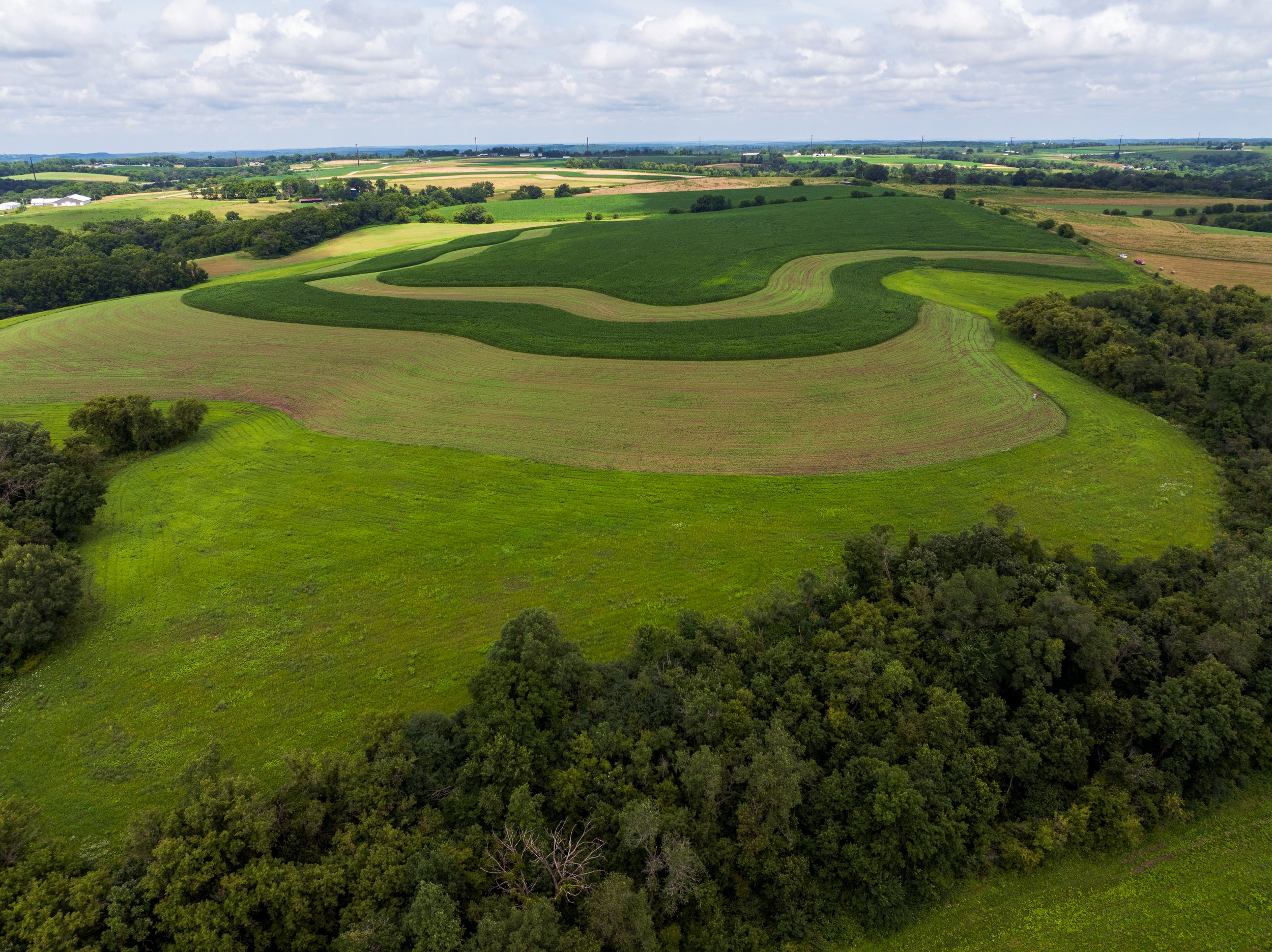 Mad Agriculture: Building a Regenerative Revolution, One Farm at a Time