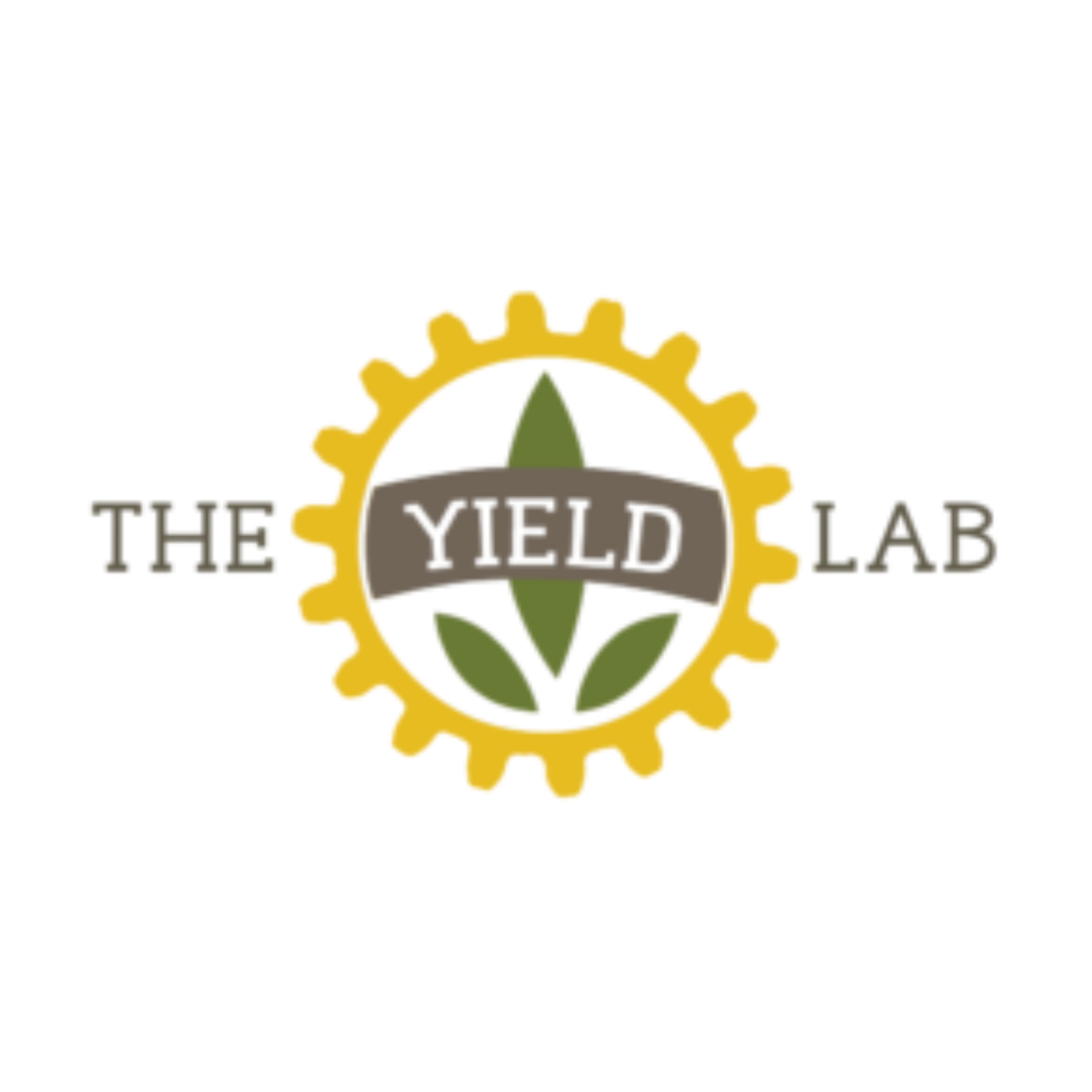 Logo of the yield lab