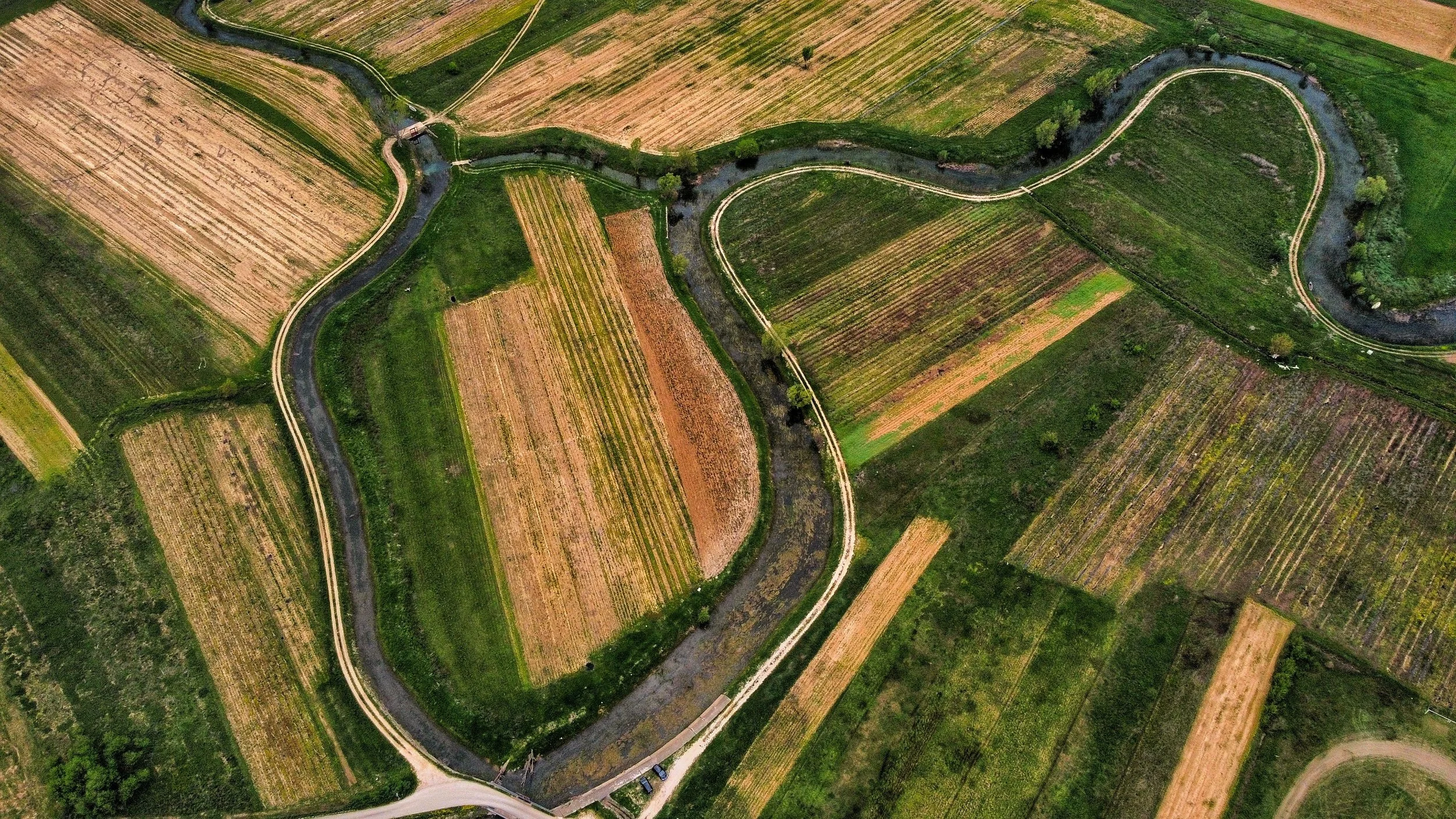 Whose perspective does nature data get read from? A conversation with Archaster Labs