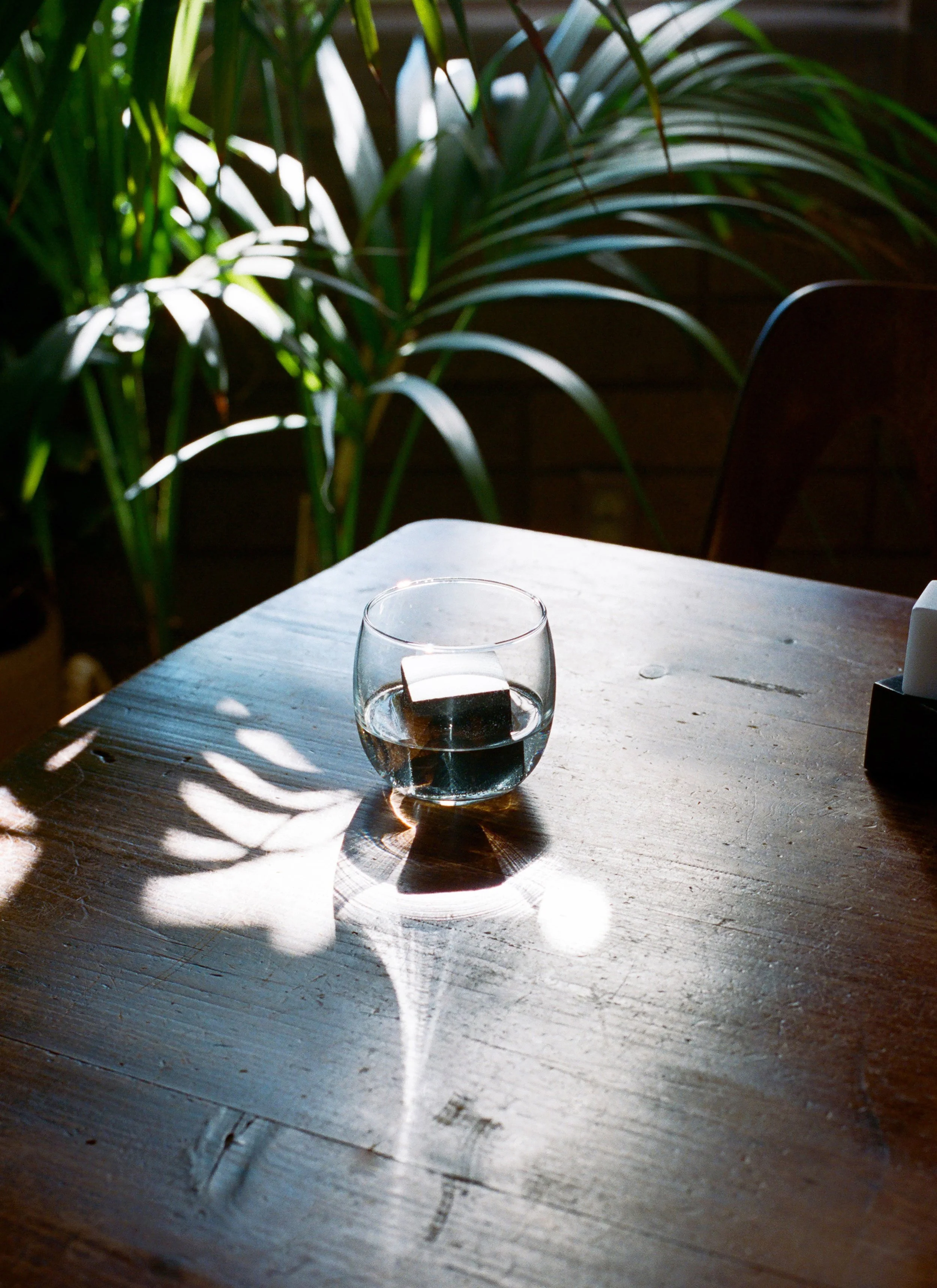 RKDRC-SP15L-StellaBerkofsky.jpg