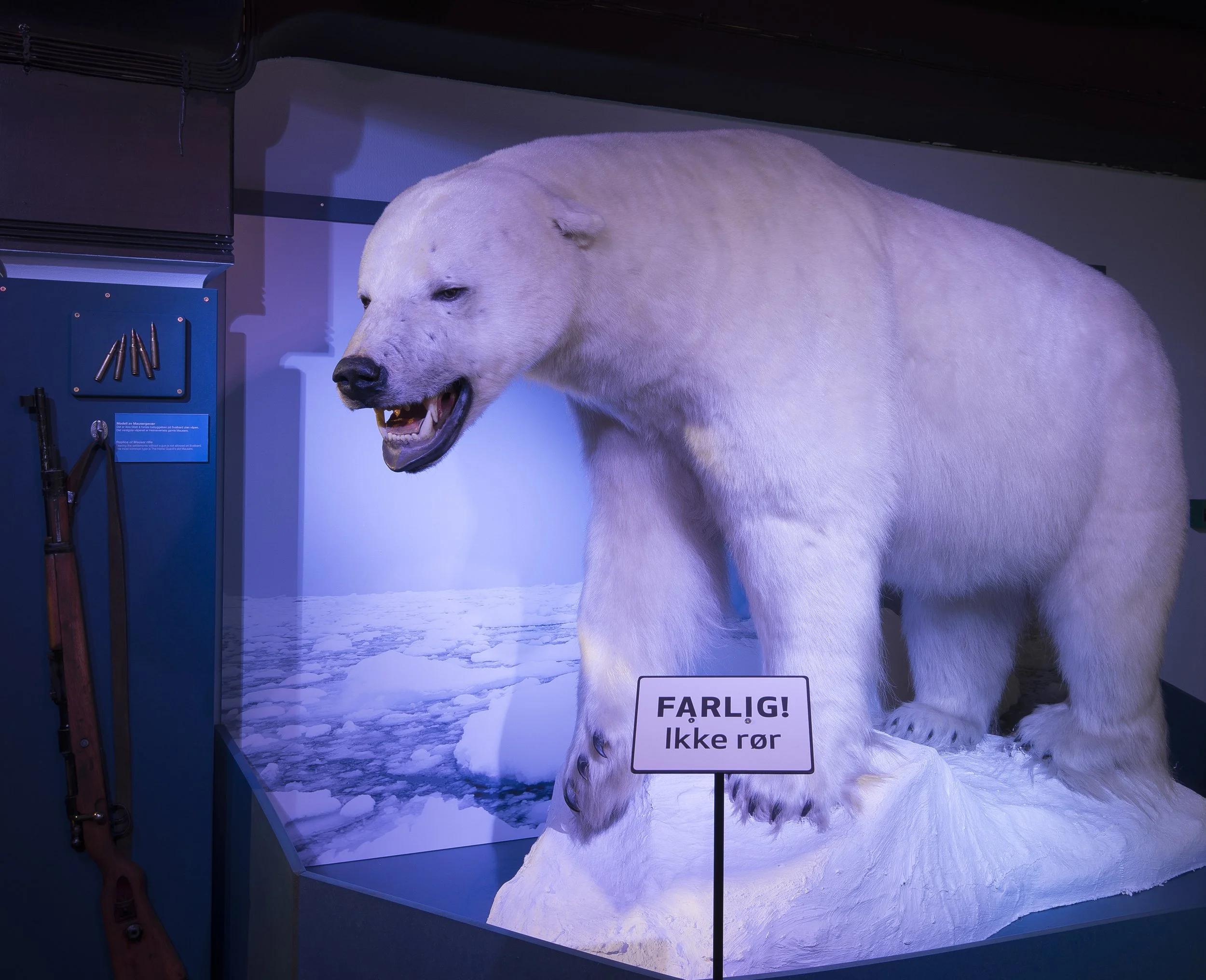 Naturhistorisk museum