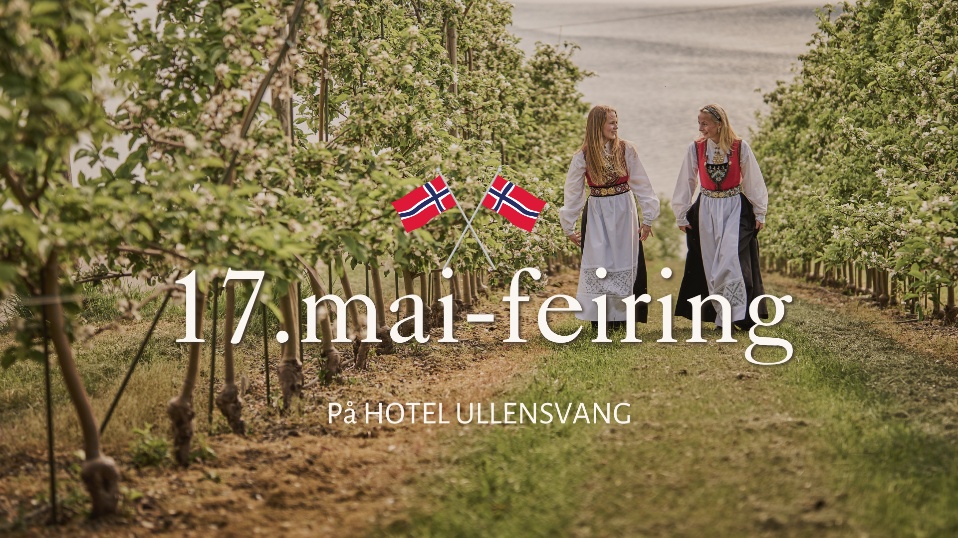 17.MAI