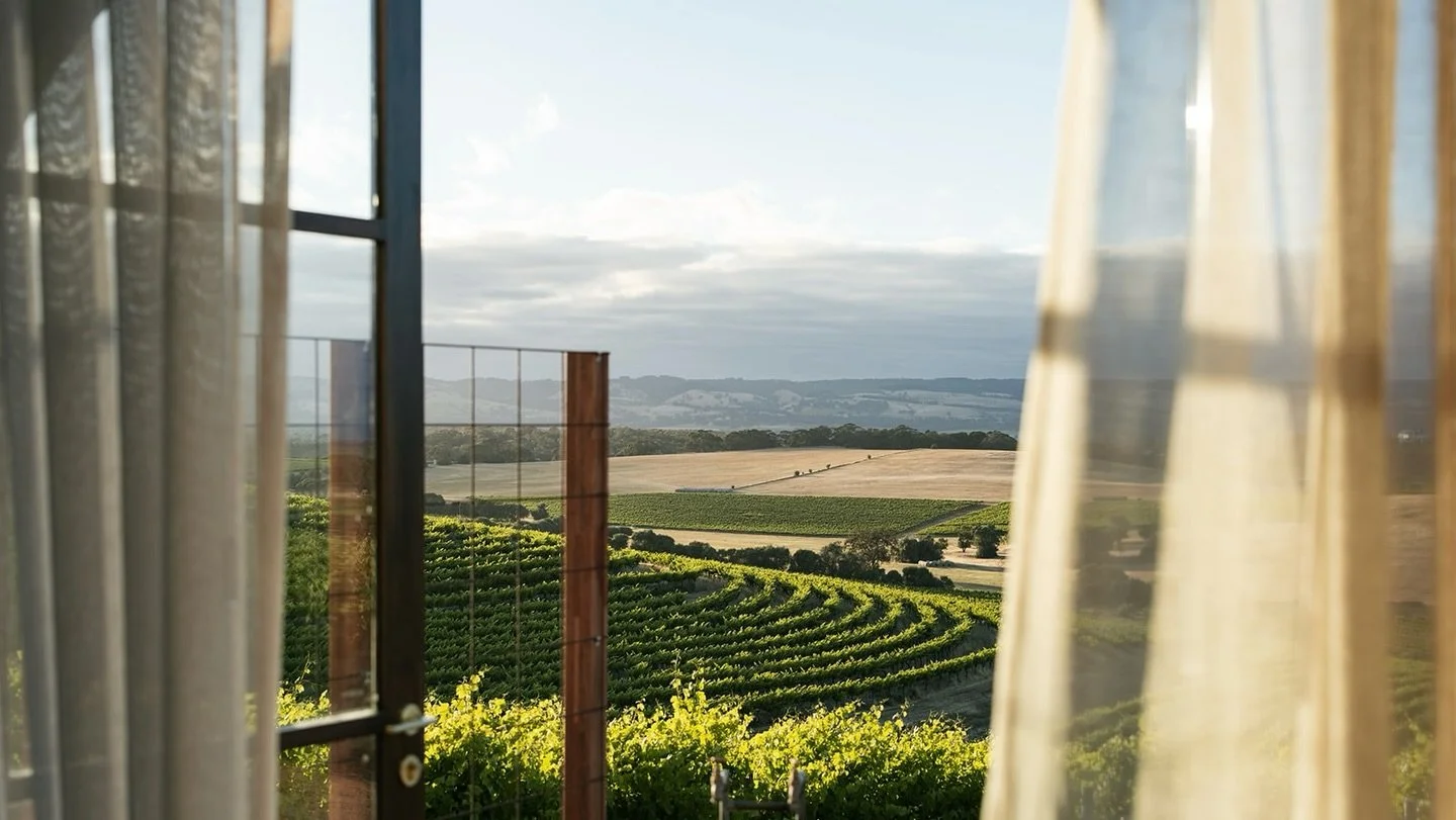 It&rsquo;s officially our favourite time of the year! The vines are in full flight, with the first signs of vintage preparation filling the air. Soon McLaren Vale will come alive with harvesters and wineries working through the night to produce the 2