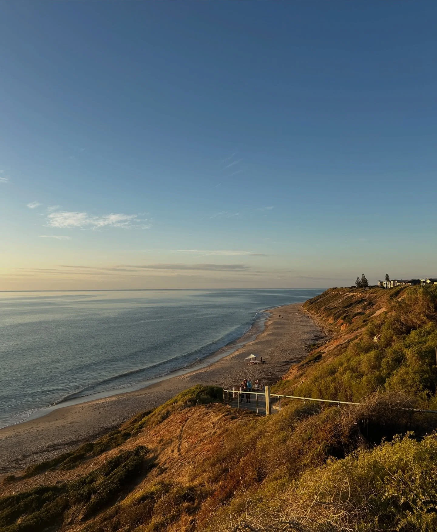 last week at the local. we think all summer winery days are best ended with a sunset dip.