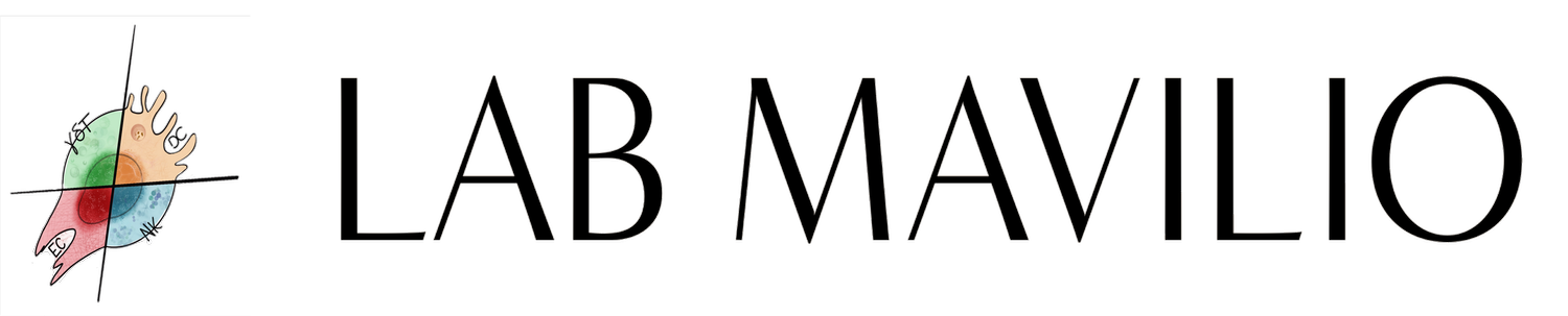 Lab Mavilio