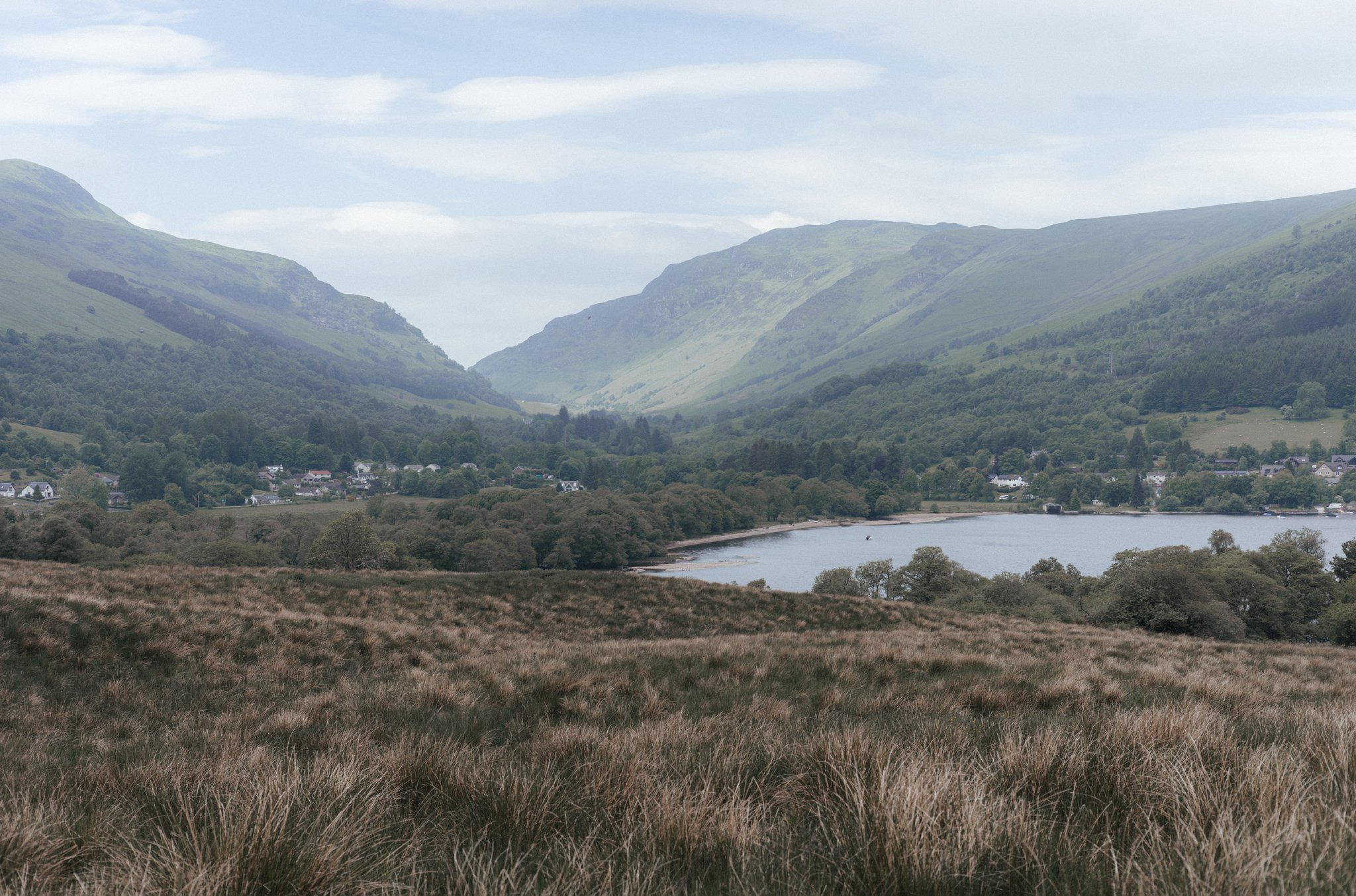 L1008177.jpg