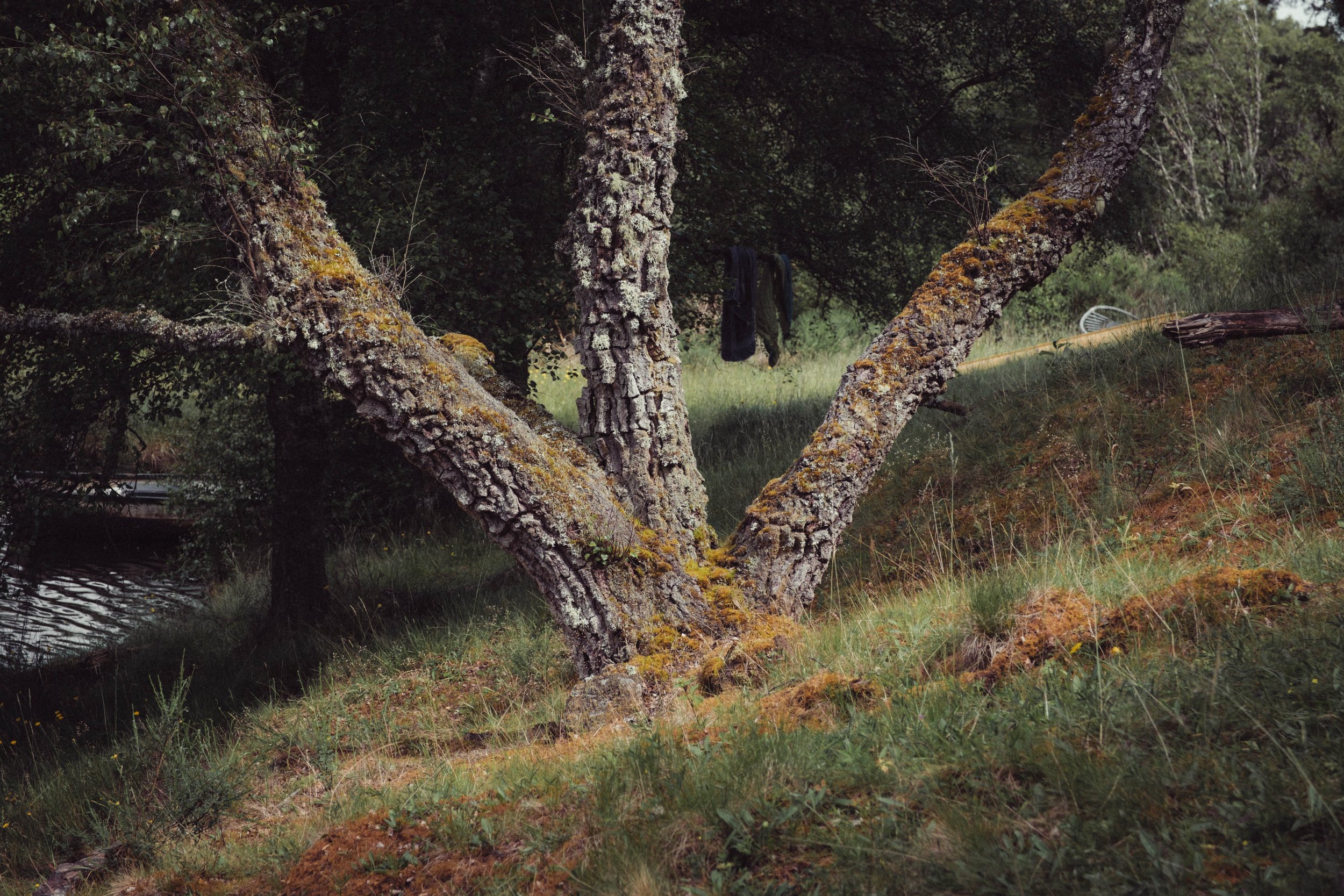 DSCF1185.jpg