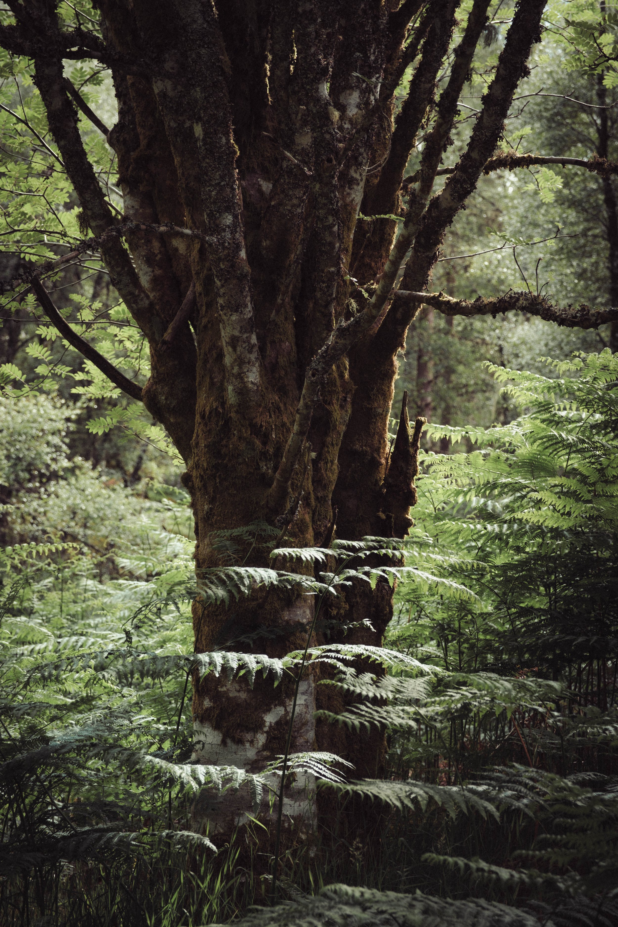 DSCF1022.jpg