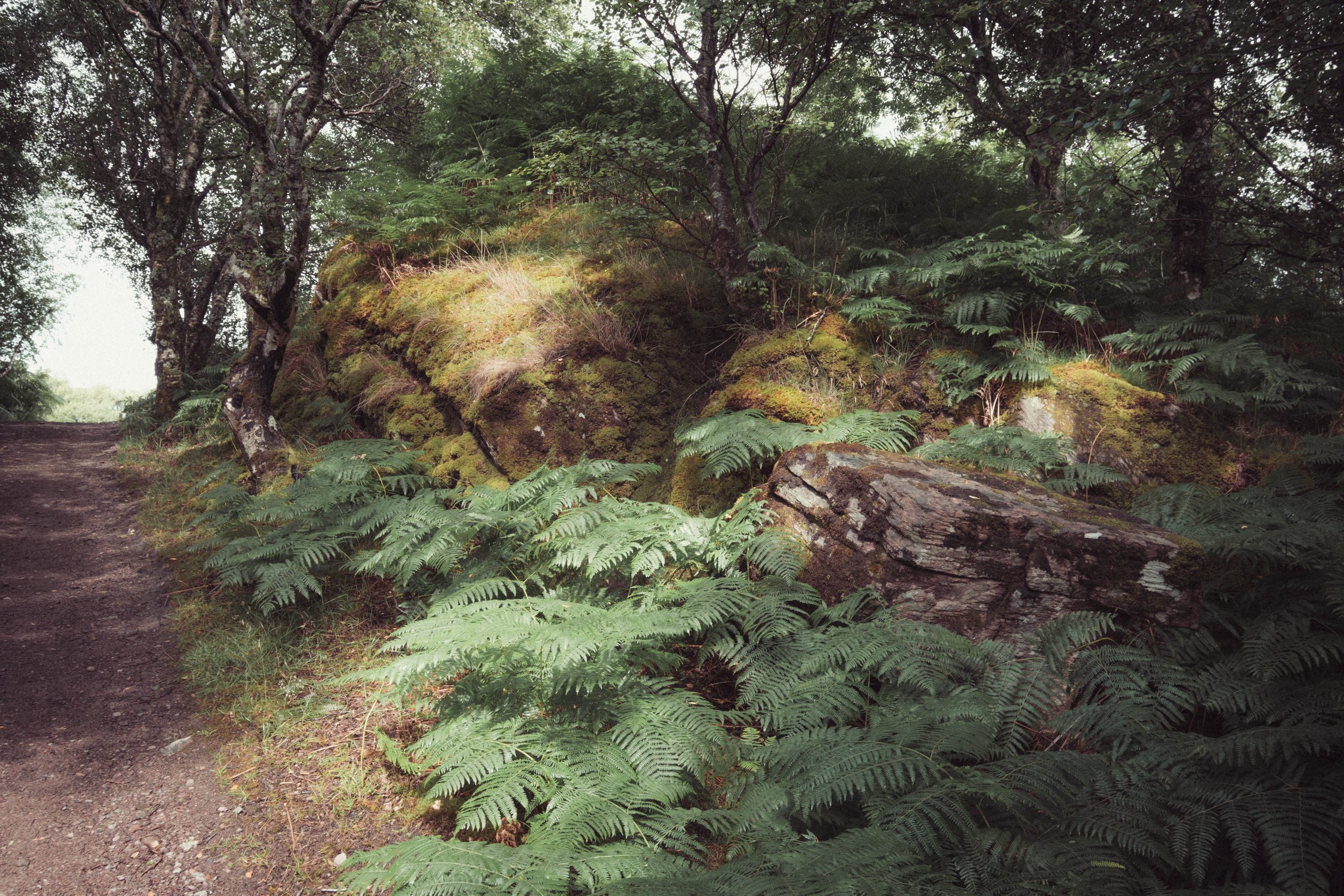 DSCF1518.jpg
