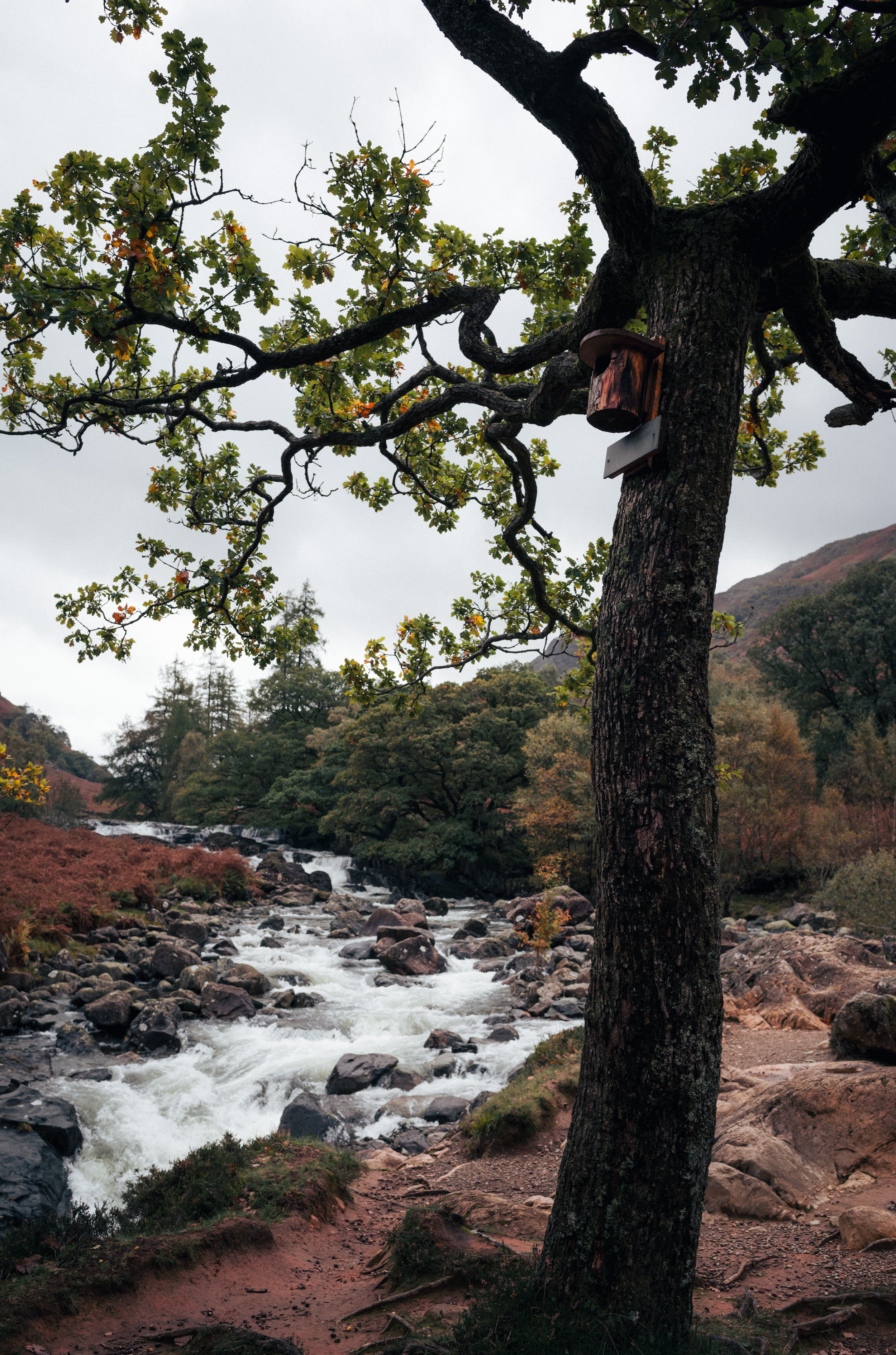 L1004642.jpg
