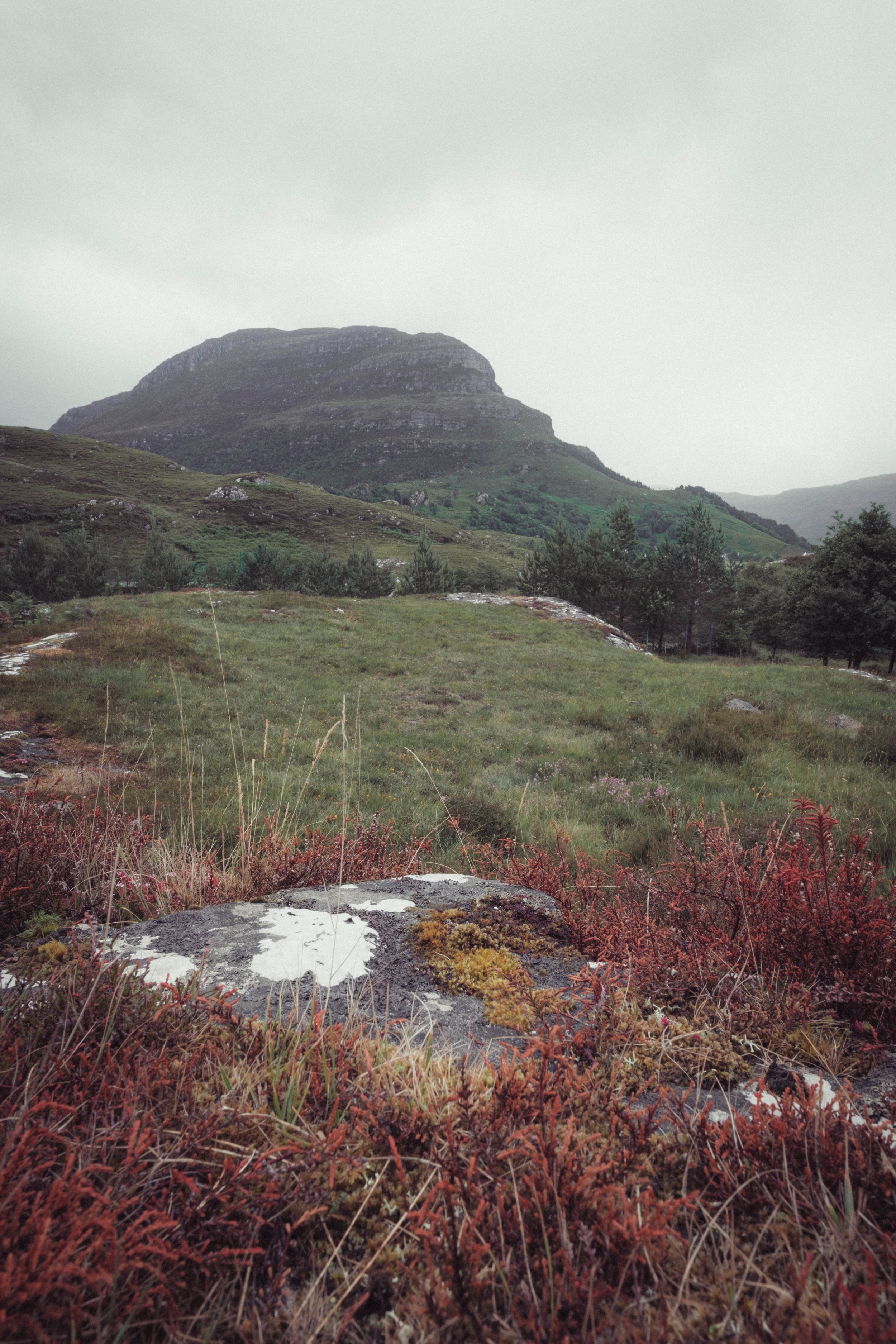 DSCF1504.jpg